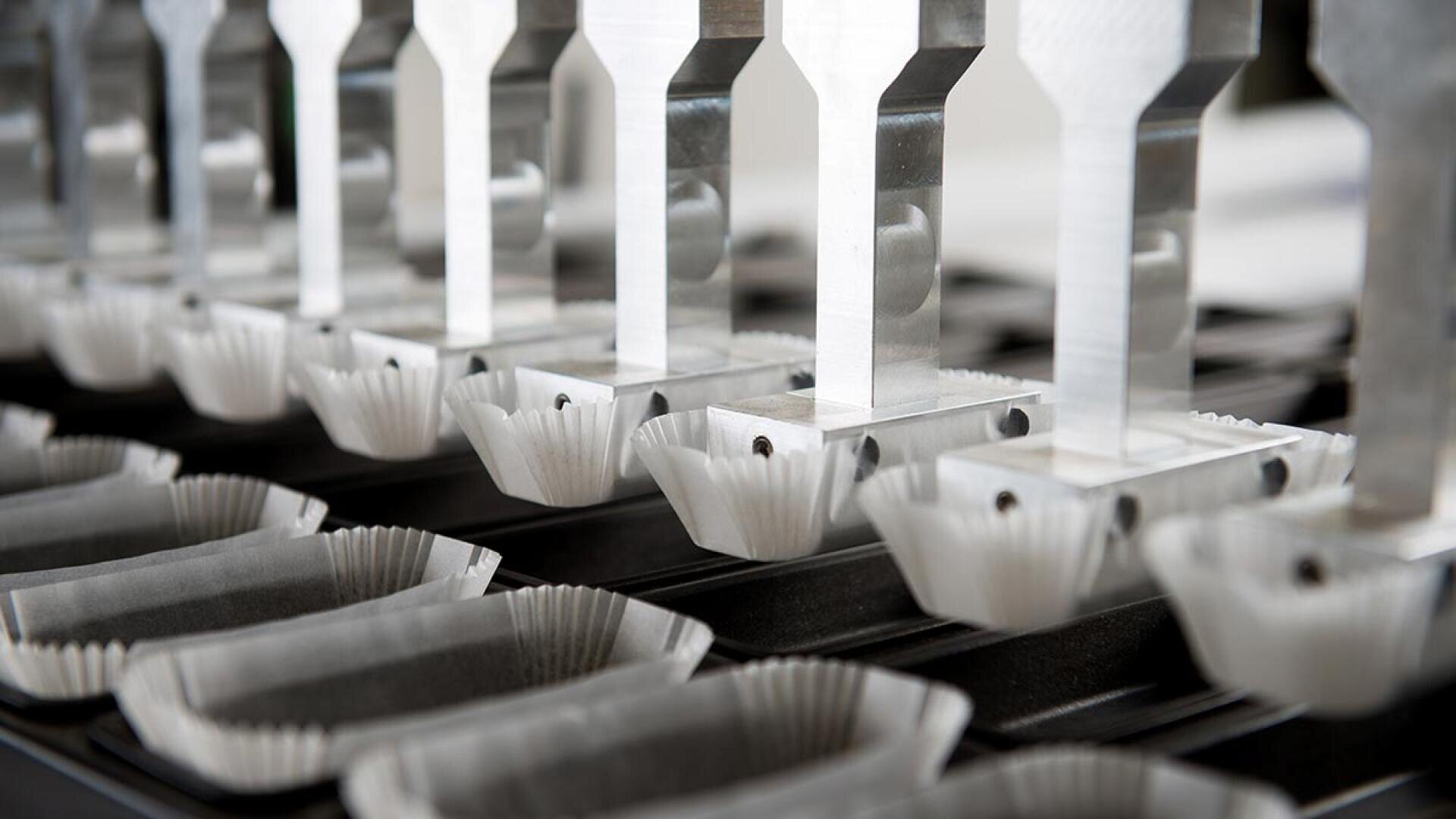 Close-up of a row of empty white paper baking cups lined up in a metal tray, with metal paddles positioned above each cup, possibly part of an automated baking or filling machine.