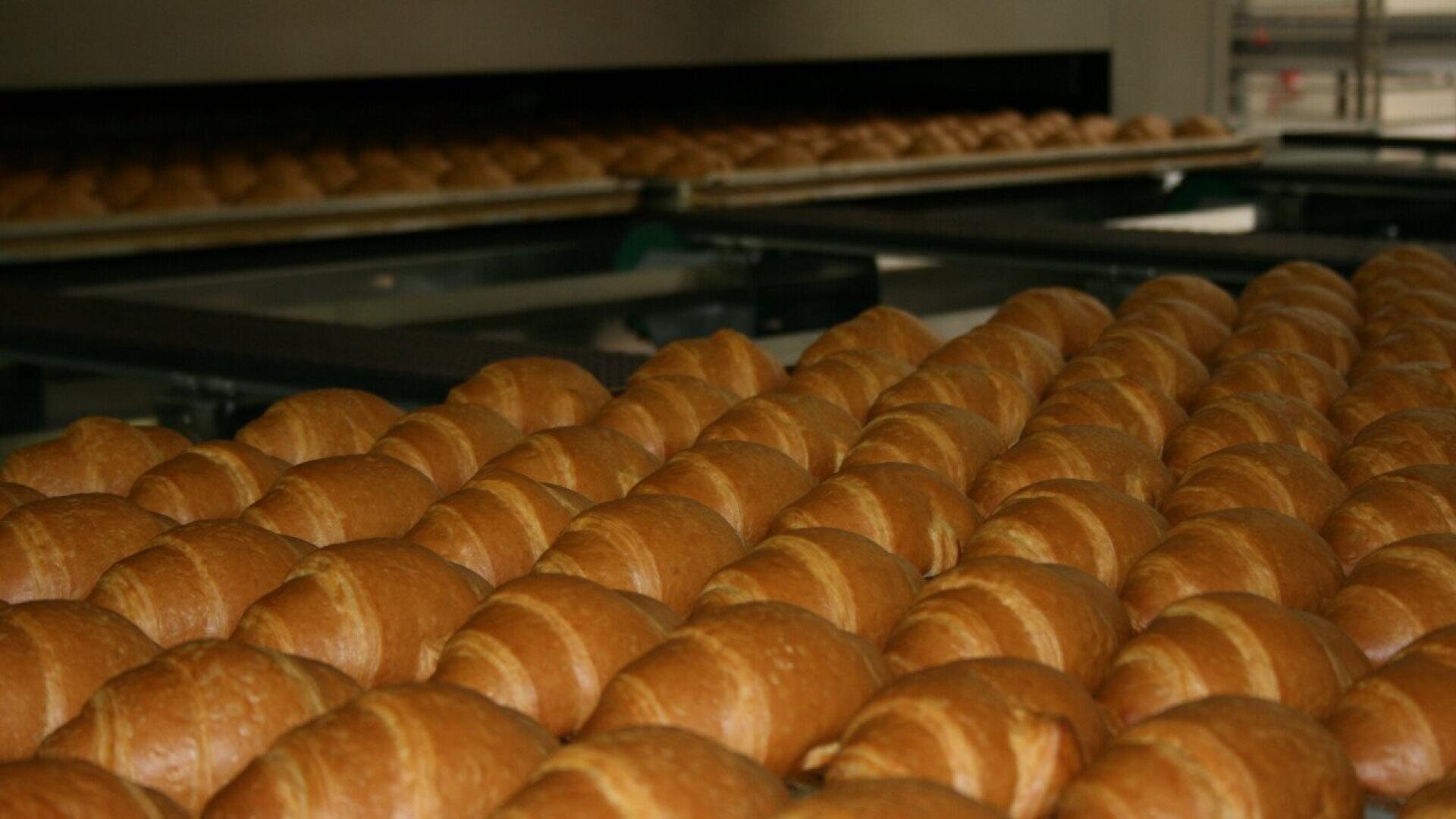 Reihen von frisch gebackenen Brötchen werden auf Tabletts aufgereiht und durch einen Industrieofen in einer Großbäckerei geschoben.