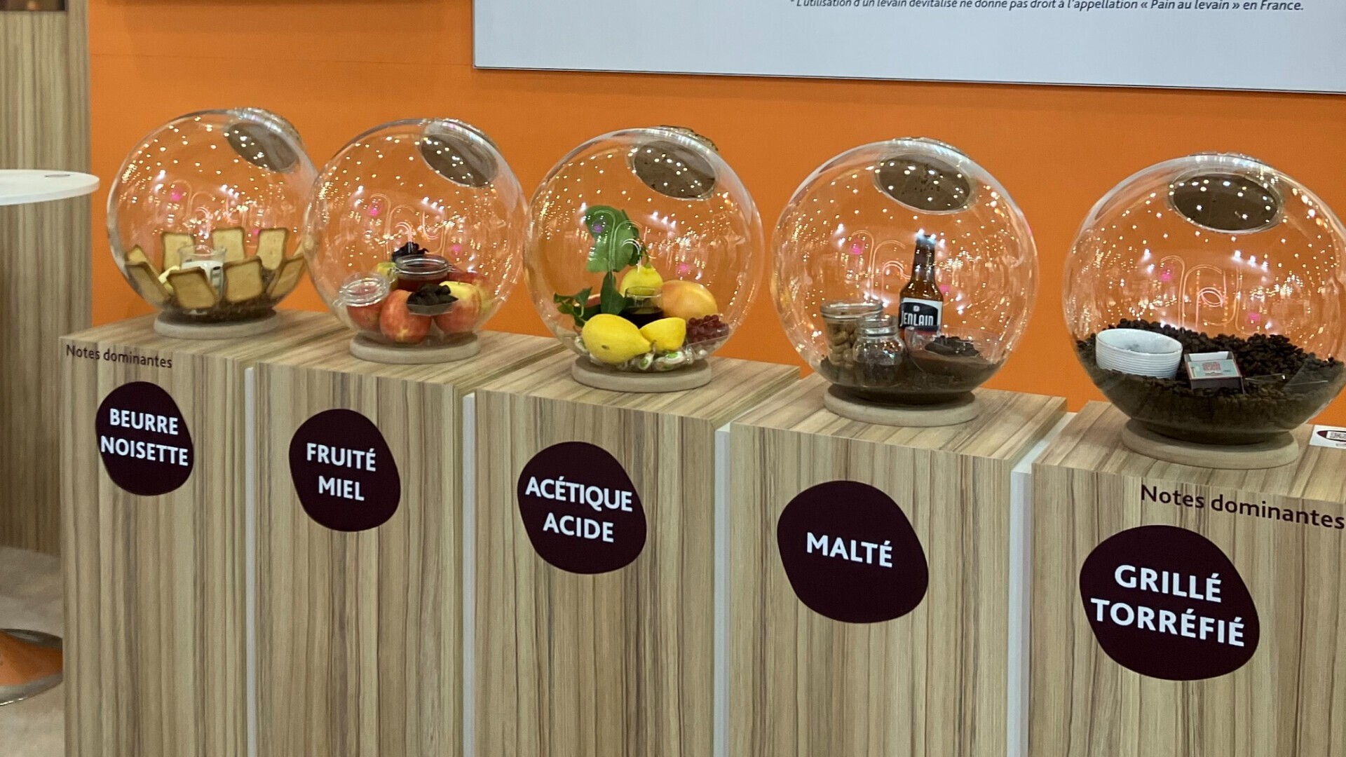 Fünf Glaskuppeln auf Holzständern zeigen verschiedene Lebensmittel und Etiketten auf Französisch, die jeweils eine andere dominante Geschmacksnote darstellen: Haselnussbutter, fruchtiger Honig, säuerlich, malzig und geröstet.