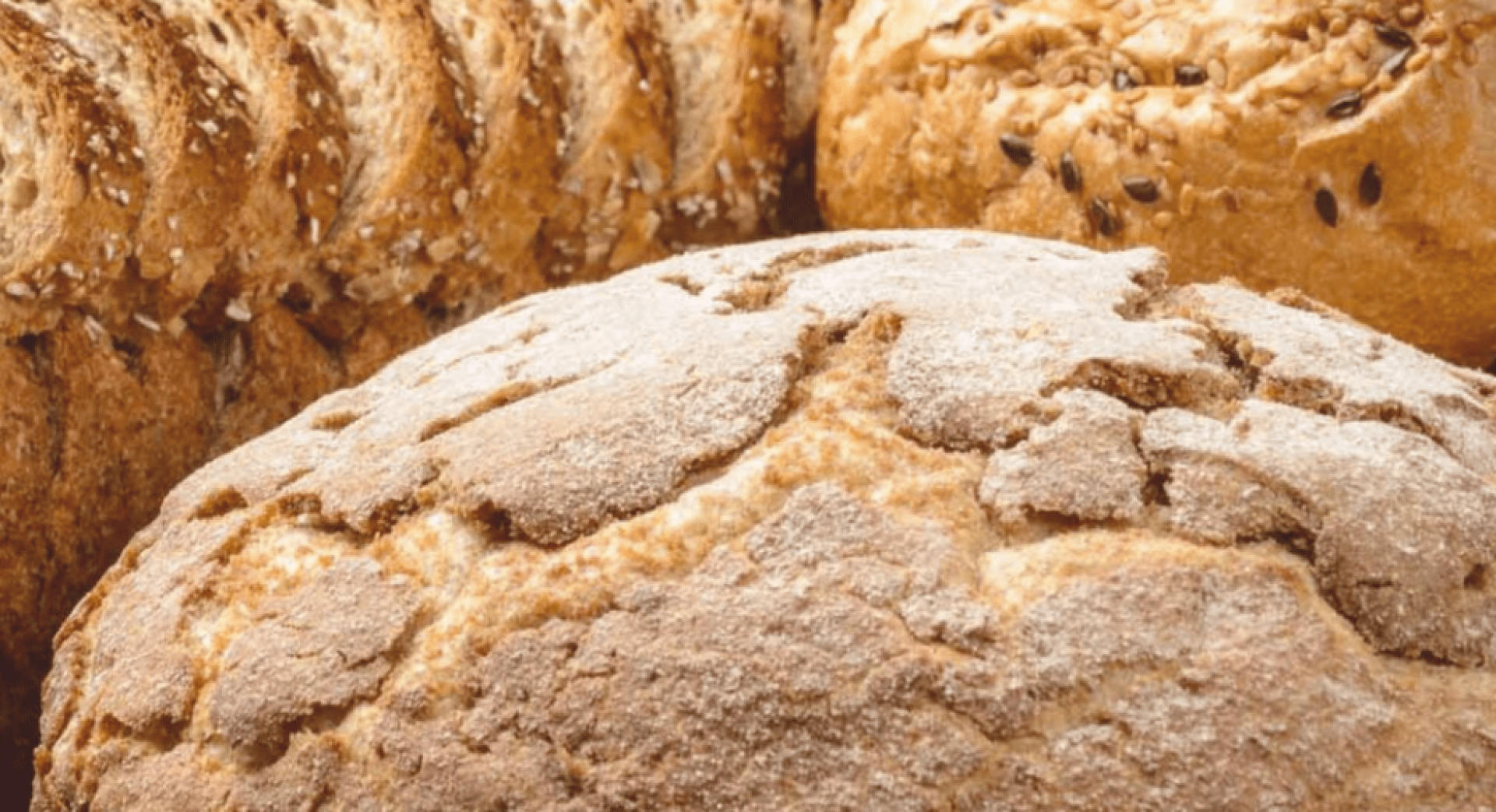 Rustic loaves of bread, including a round loaf with a cracked, flour-dusted crust and sliced multigrain bread with grains, are arranged close together.
