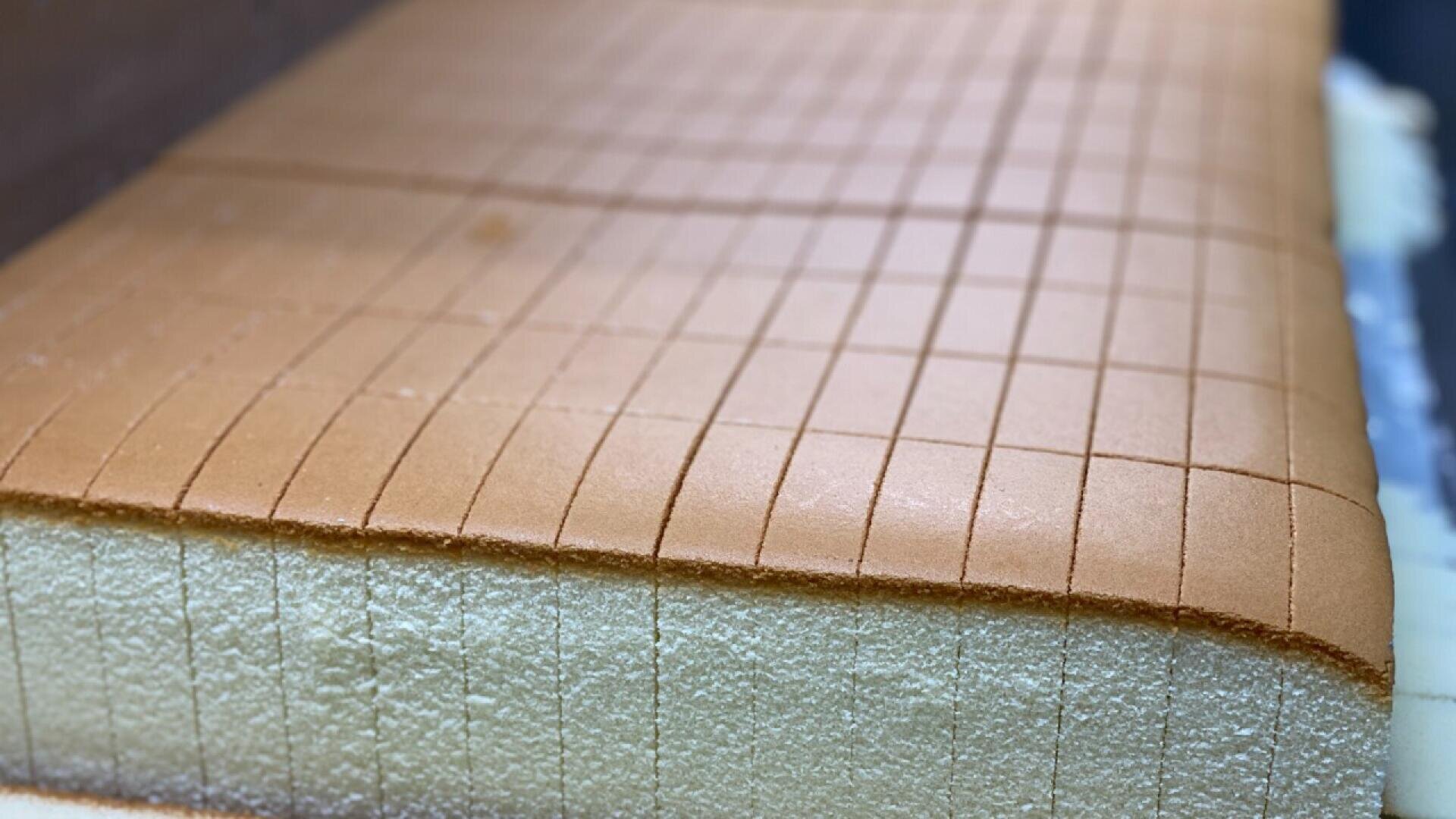 Eine Nahaufnahme eines großen, rechteckigen Biskuitkuchens mit goldbrauner Oberfläche und weichen, hellen Rändern, die mit gleichmäßig verteilten Gitterlinien zum Schneiden versehen sind.