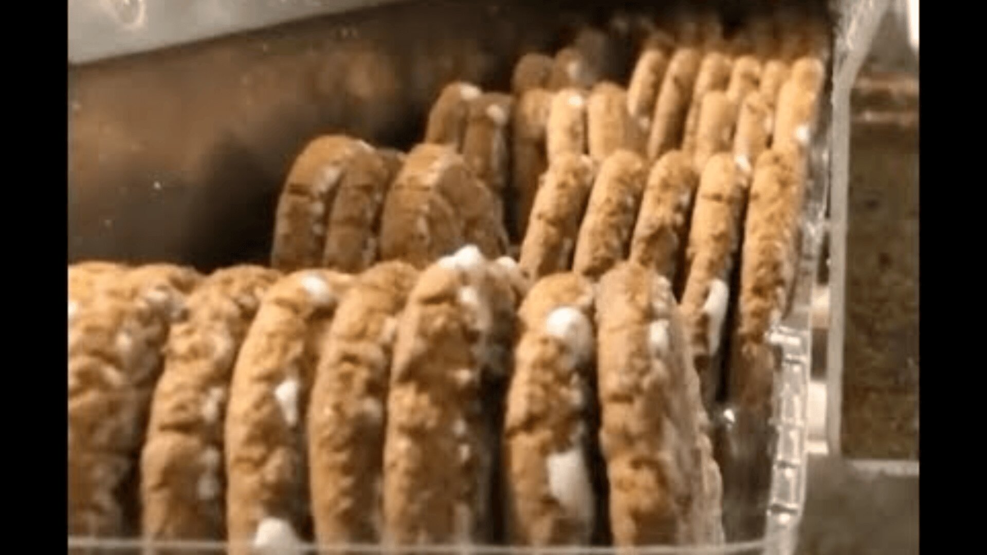 In a factory, oatmeal cookies filled with white cream are lined up on a conveyor belt.