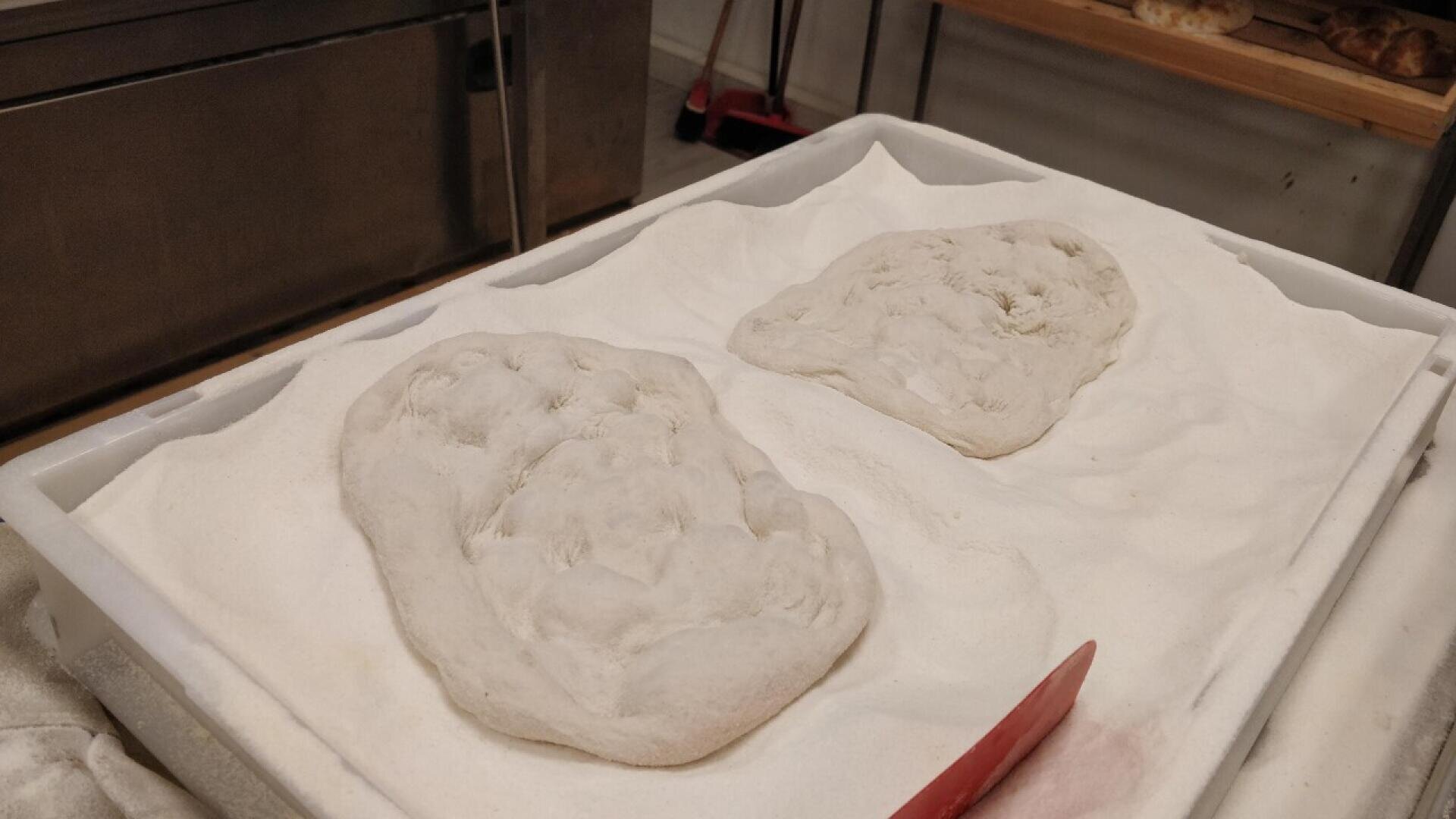 Zwei geformte Brotteigstücke liegen in einer mit Mehl gefüllten Schale, bereit zum Backen. In der Ecke ist teilweise ein roter Teigschaber zu sehen. Im Hintergrund ist eine Küche mit Regalen und Geräten zu sehen.
