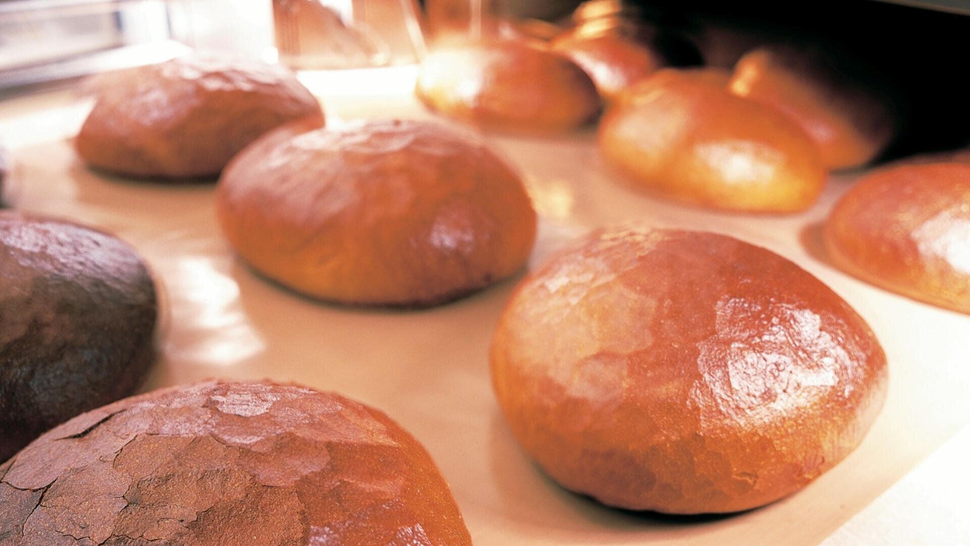 Auf einem Backblech im Ofen backen runde, goldbraune Brotlaibe, deren Kruste warm und leicht glänzend ist.
