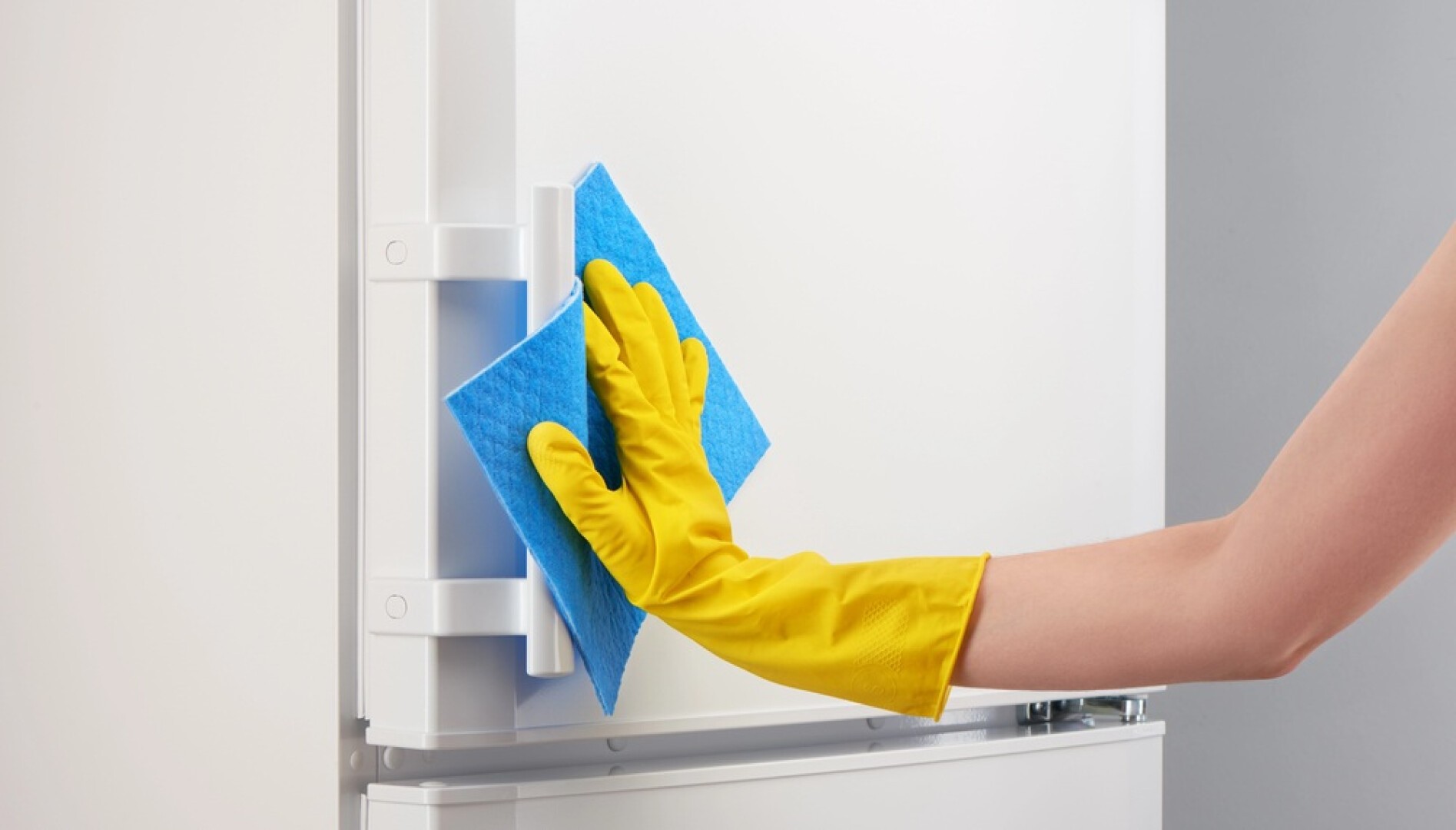 Eine Person mit einem gelben Gummihandschuh reinigt die weiße Tür eines Kühlschranks mit einem blauen Schwamm.