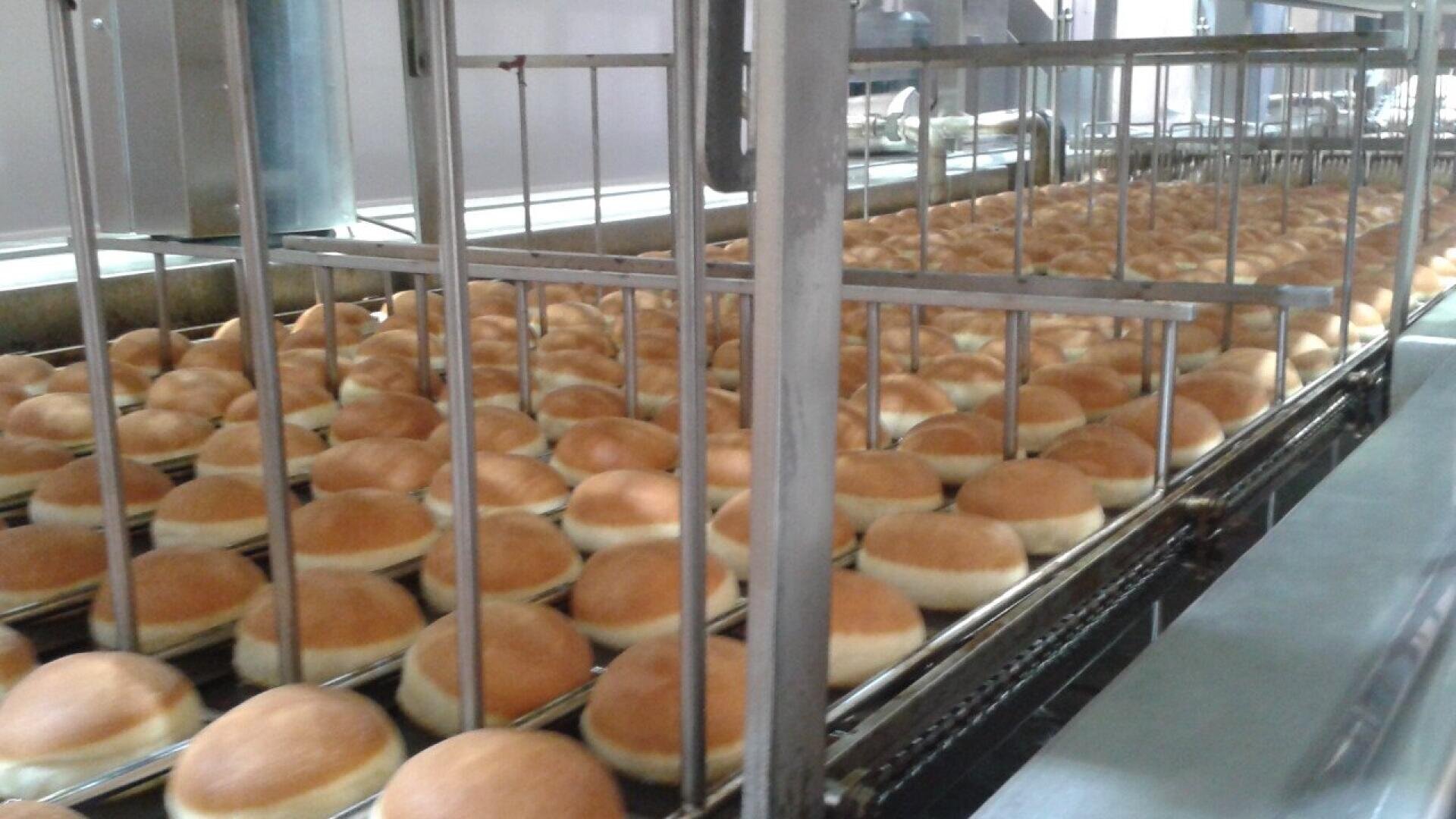 Reihen von frisch gebackenen Hamburgerbrötchen laufen über ein Förderband in einer Großbäckerei, umgeben von Metallgestellen und Maschinen.