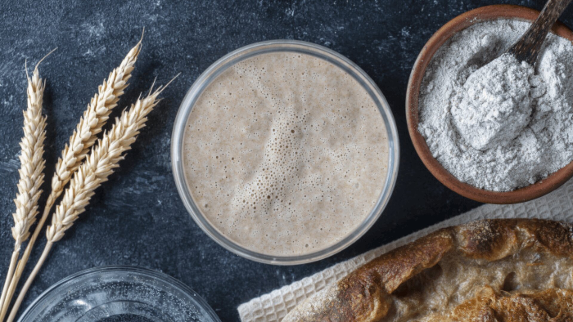 Eine Glasschüssel mit blubberndem Sauerteig auf einer dunklen Fläche, umgeben von Weizenhalmen, einer Schüssel mit Mehl und einem Holzlöffel sowie einem Teil eines rustikalen Brotlaibs.