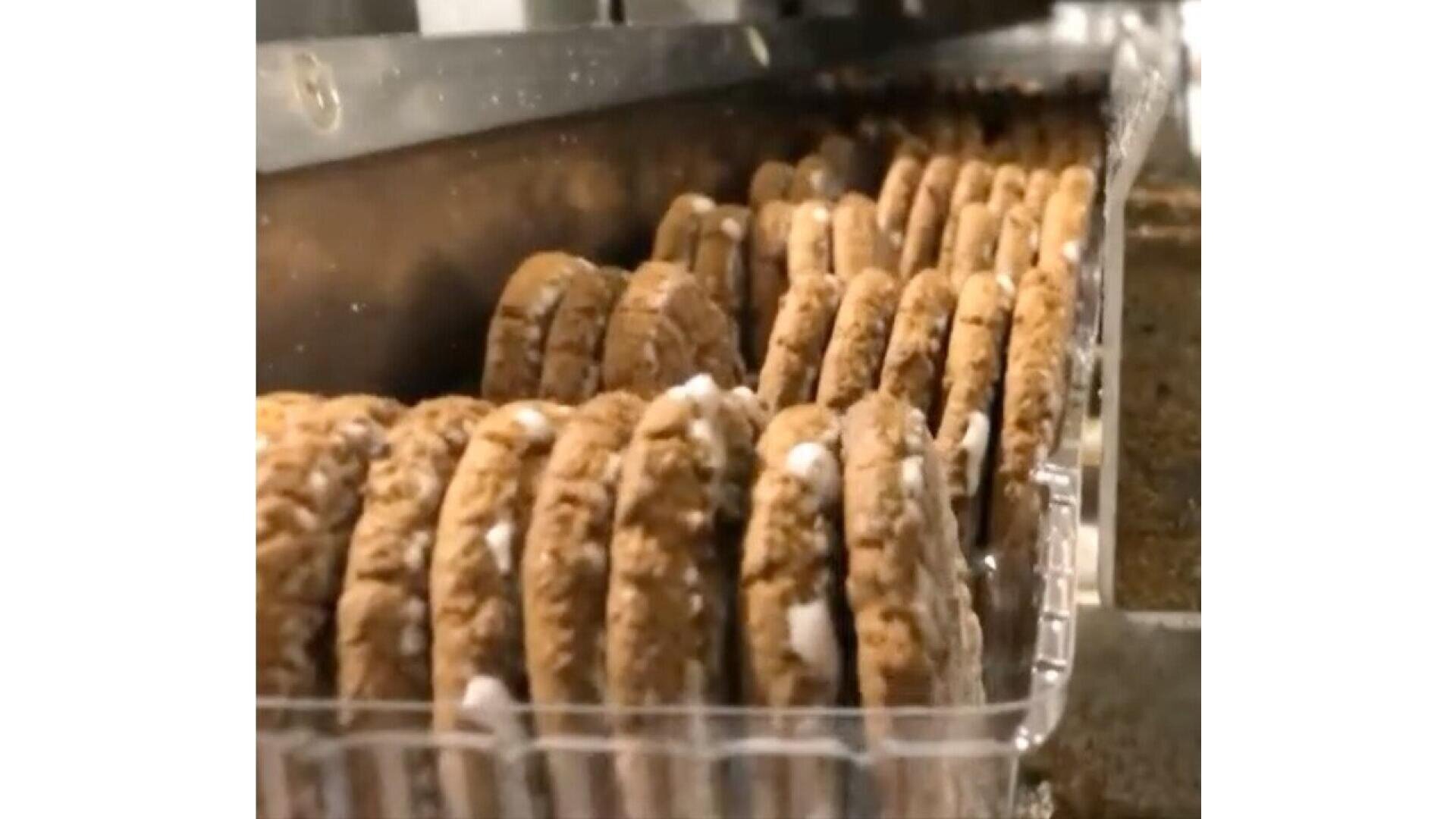 Reihen von Haferflockencremetorten sind in durchsichtigen Plastikschalen aufgereiht und laufen in einer Fabrikhalle über ein Förderband.