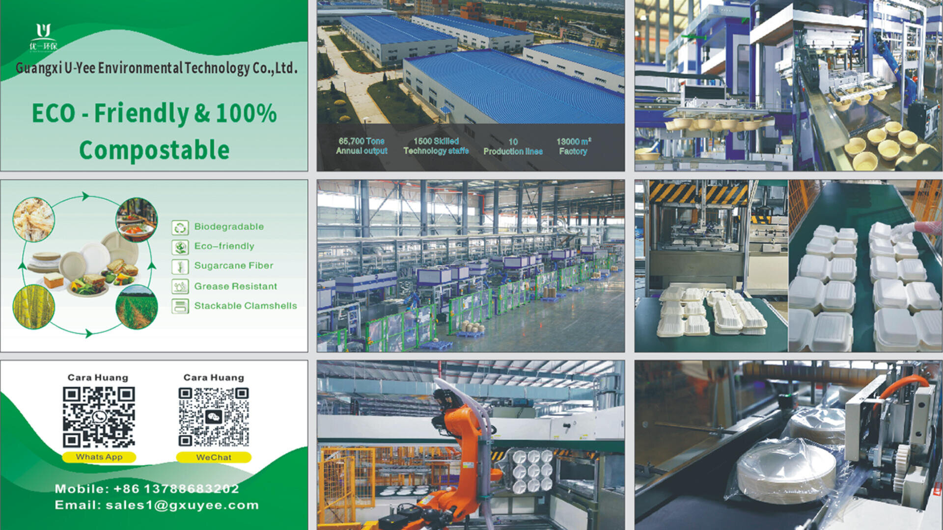 Collage featuring Guangxi U-Vee Environmental Technology Co., Ltd.’s eco-friendly facility, machinery, sugarcane-based compostable products, production stats, and contact info with QR codes for WhatsApp and WeChat.