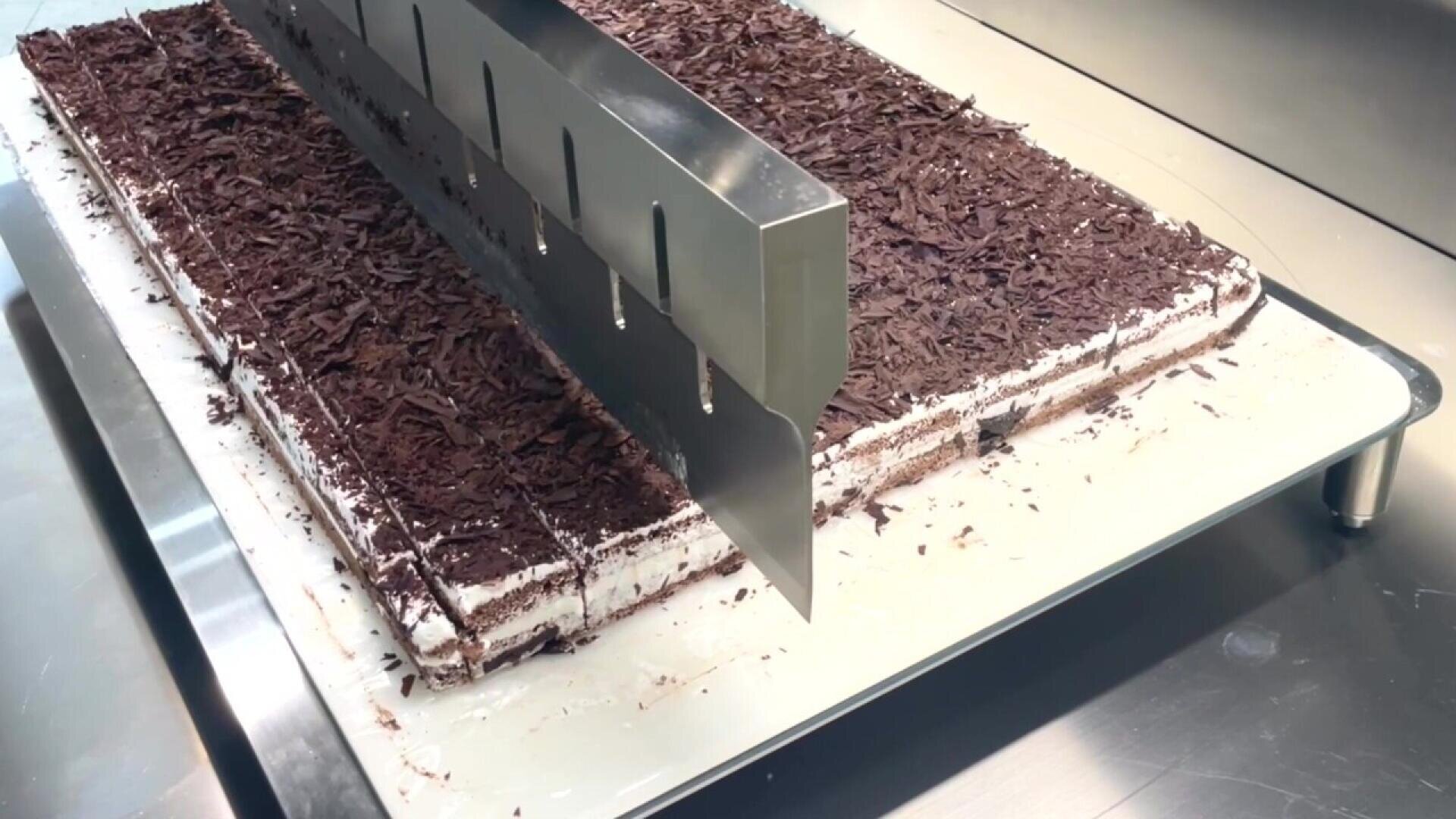 Ein großer rechteckiger Kuchen mit Schokoladenspänen wird mit einem Metallschneider auf einem weißen Tablett in einer Küche in gleichmäßige Stücke geschnitten.
