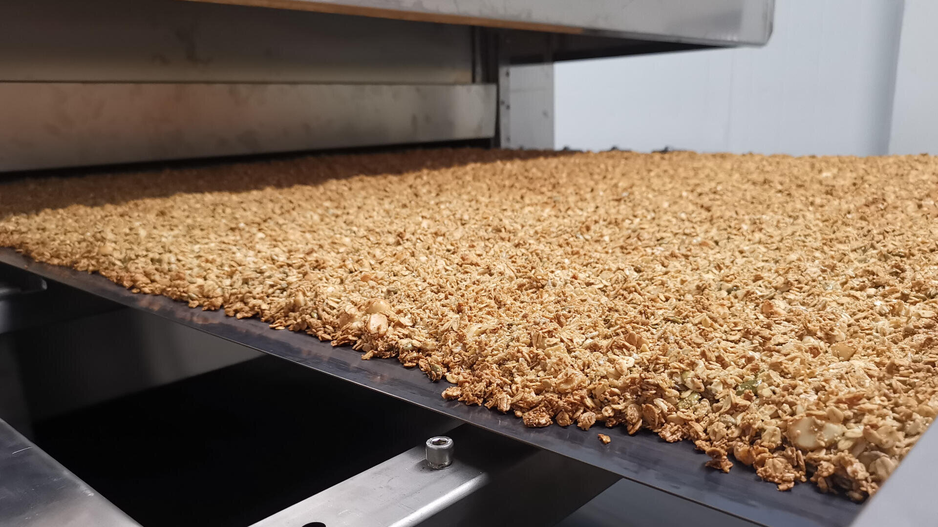 Nahaufnahme einer großen Müsliplatte, die auf einem Förderband in einem Industrieofen gebacken oder getrocknet wird.
