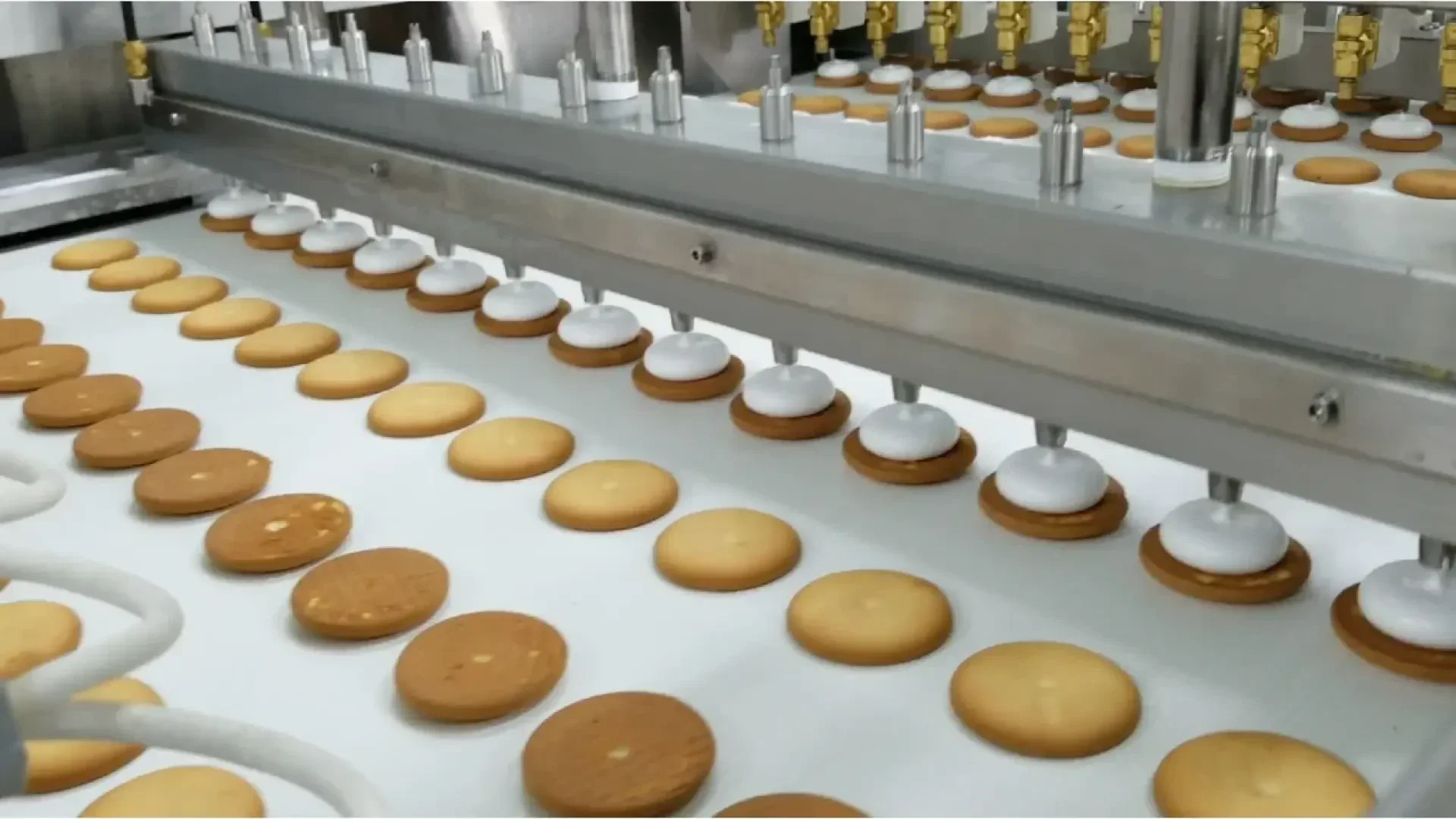 A cookie production line shows cookies on a conveyor belt, with a machine above dispensing white cream filling onto each cookie in a precise row.
