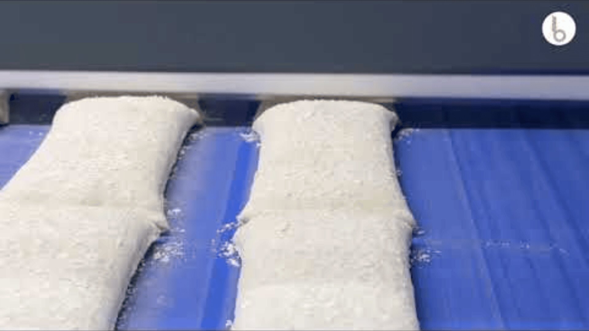 Nahaufnahme von rechteckigen Teigstücken auf einem blauen Förderband, wahrscheinlich in einer Bäckerei oder einem Lebensmittelverarbeitungsbetrieb.