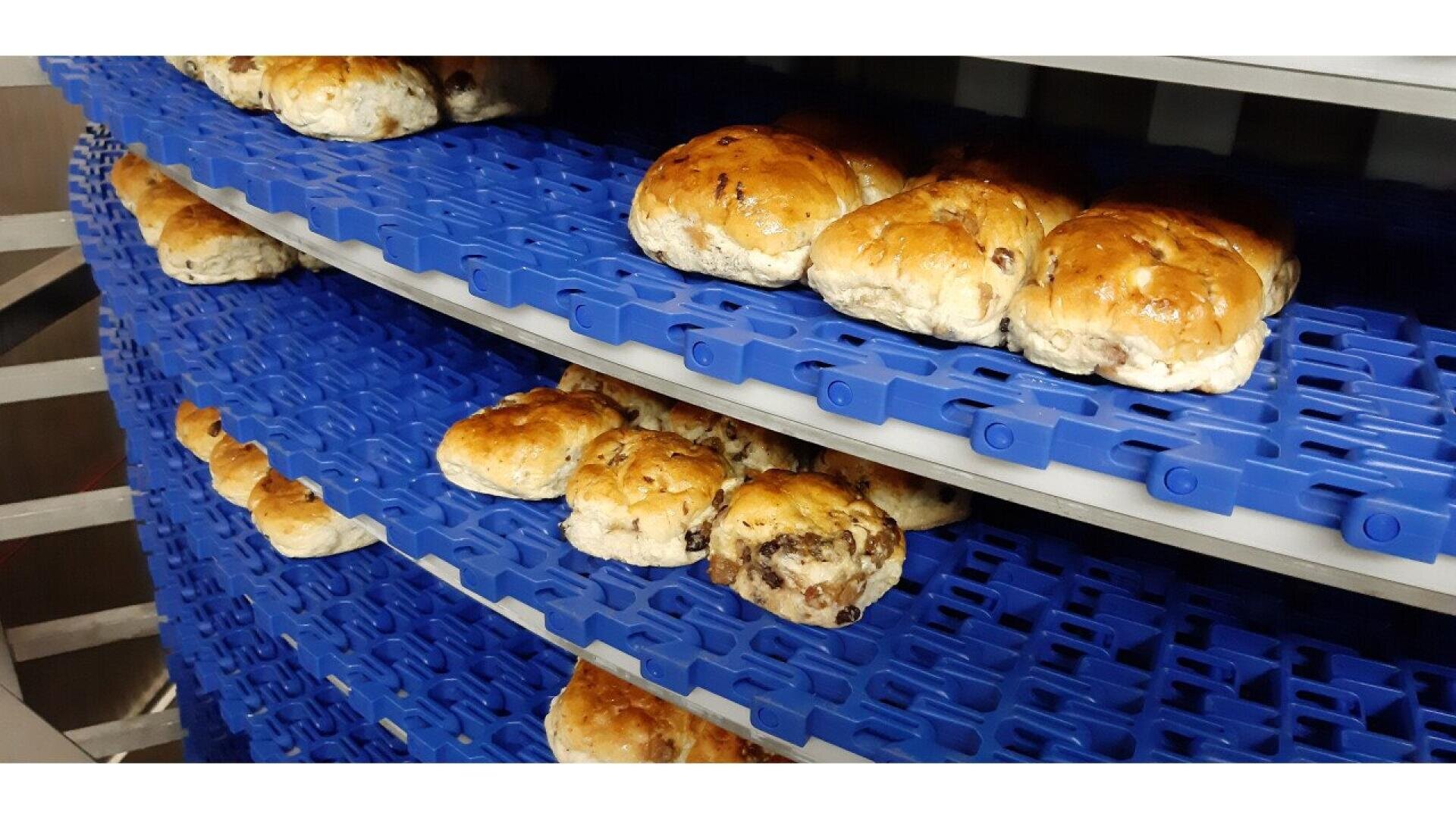 Buns filled with raisins are cooling on curved, blue plastic conveyor belts inside a commercial bakery.
