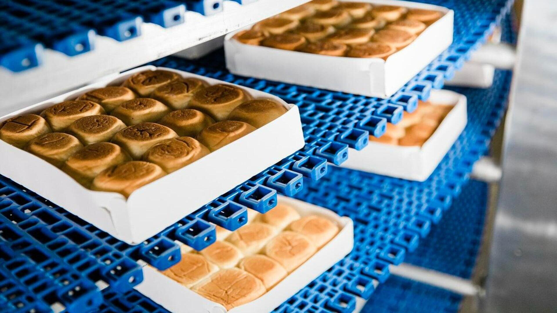 Kisten mit gebackenen Brötchen kühlen auf blauen Plastikregalen in einer industriellen Bäckerei ab. Das Brot ist in ordentlichen Reihen in weißen Schalen auf mehreren Regalen angeordnet.