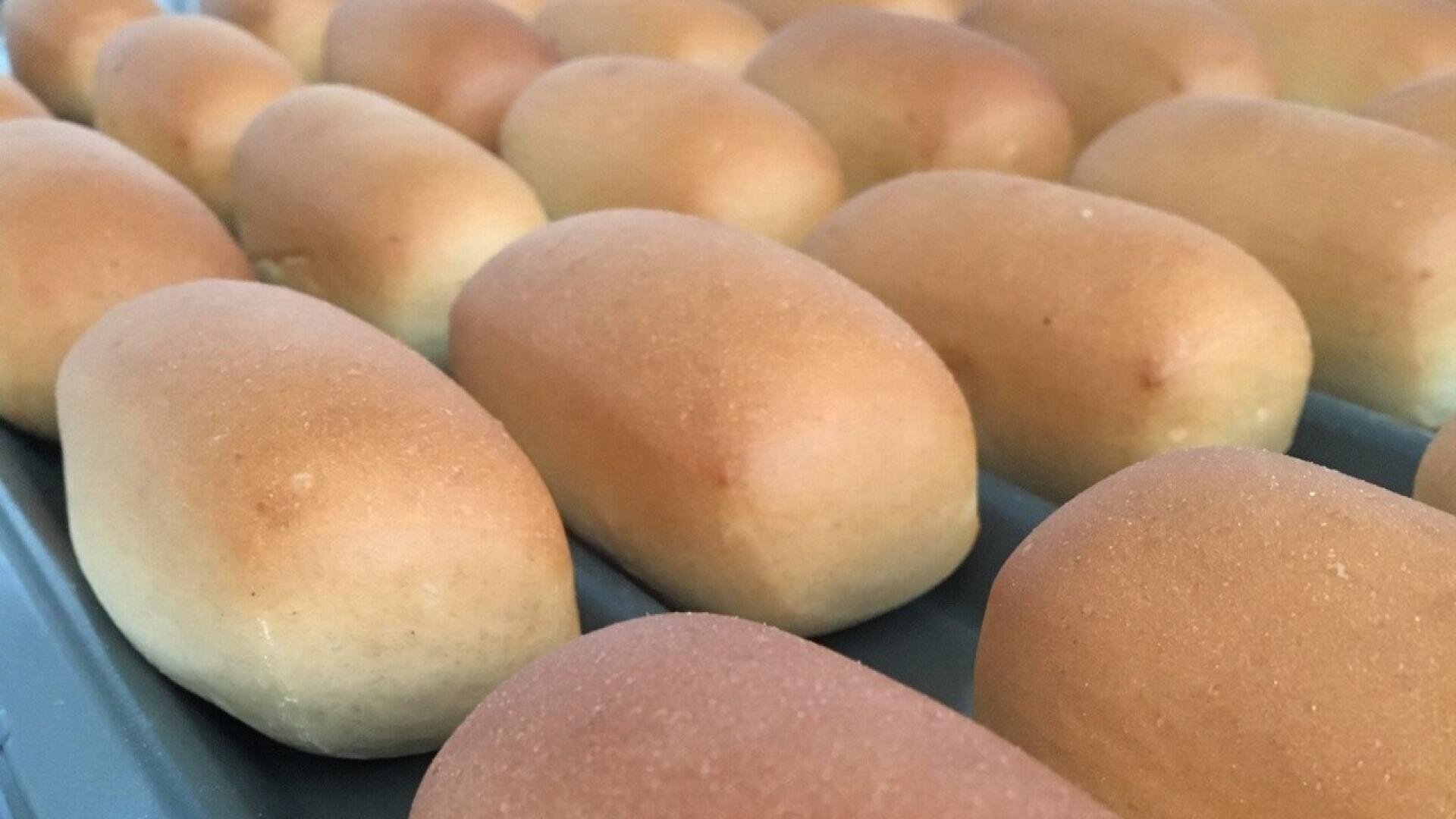 Auf einem Backblech werden gleichmäßig gebackene, goldbraune Brötchen dicht aneinandergereiht.