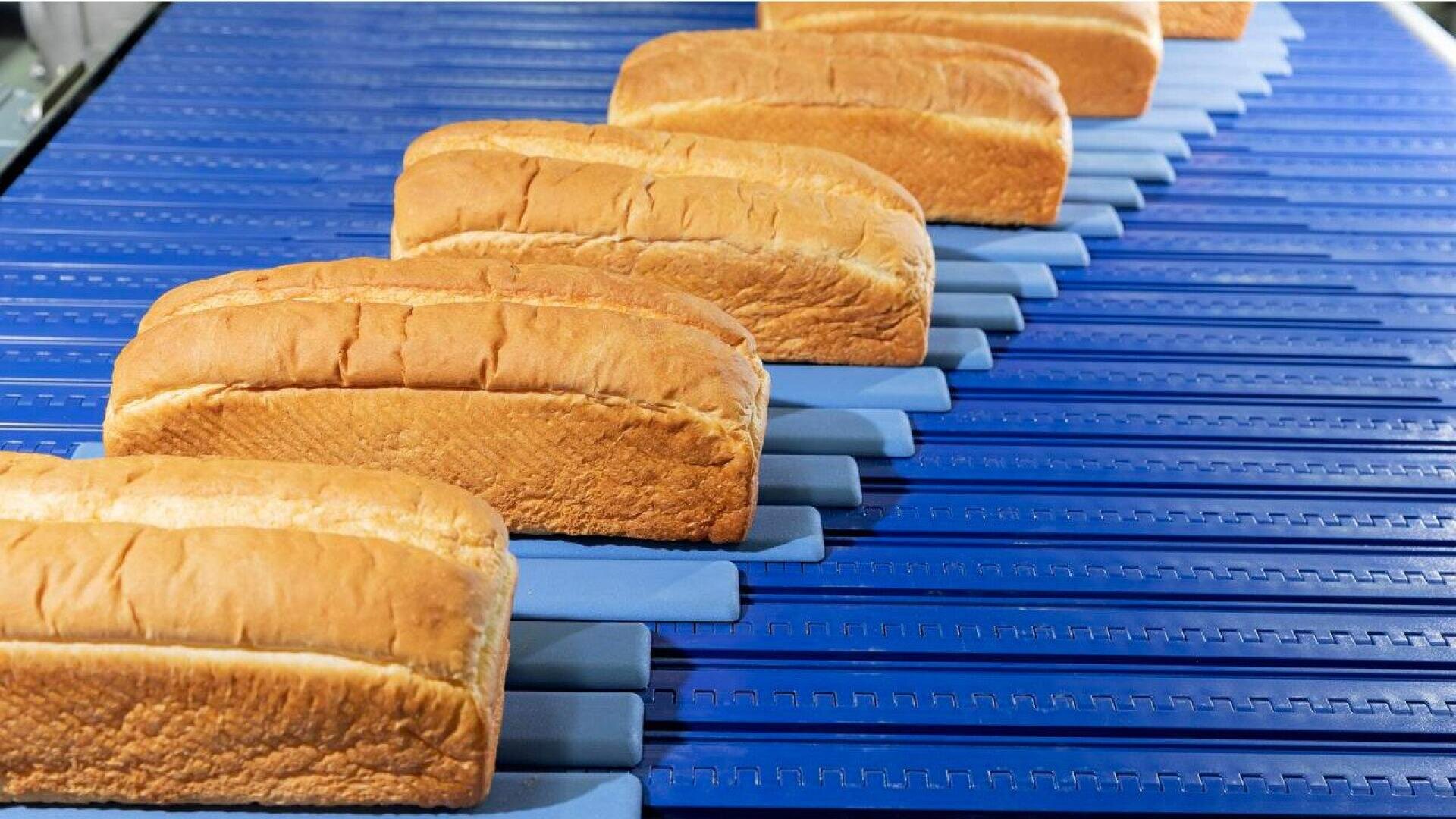 Auf einem blauen Fließband in einer Bäckerei oder Brotfabrik sind die Brote diagonal aufgereiht.