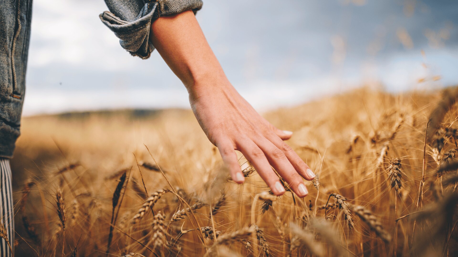 Eine Person streicht sanft mit der Hand durch ein goldenes Weizenfeld, dessen Halme sich unter einem wolkenverhangenen Himmel im Winde wiegen. Die Szene erweckt ein Gefühl der Ruhe und der Verbundenheit mit der Natur.