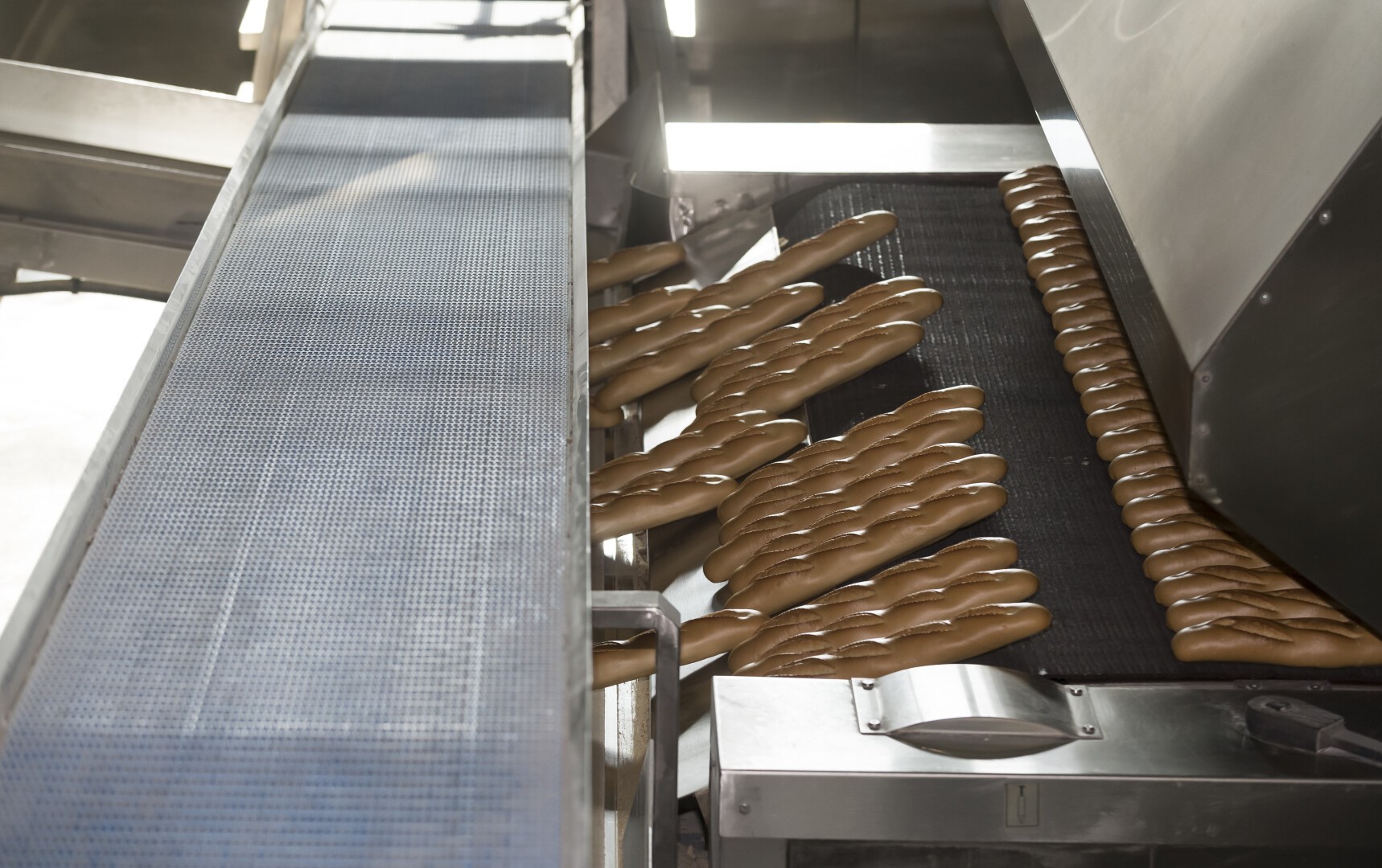 Rows of unbaked baguettes on a conveyor belt in a commercial bakery, ready for baking as part of an automated bread production process.