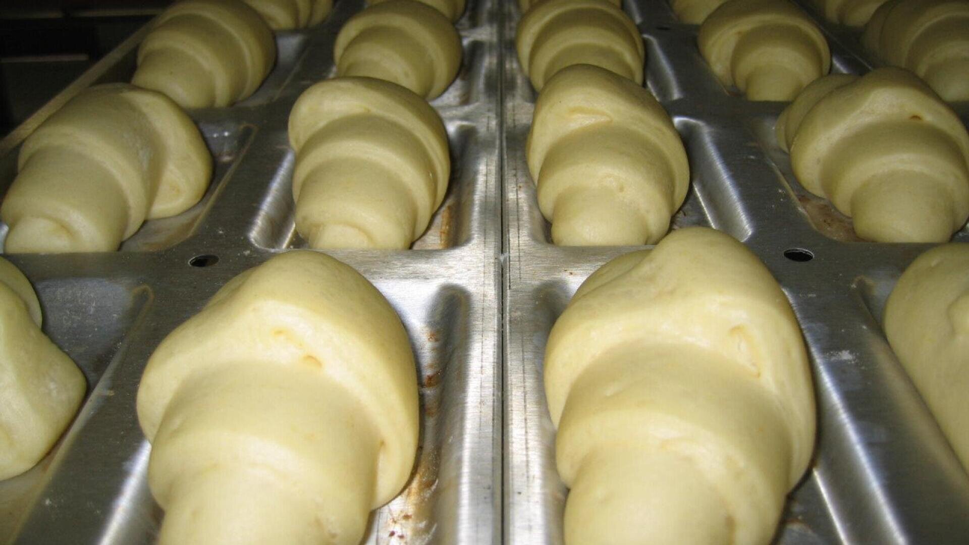Reihen von ungebackenem Croissant-Teig in Metall-Backblechen, bereit zum Backen.
