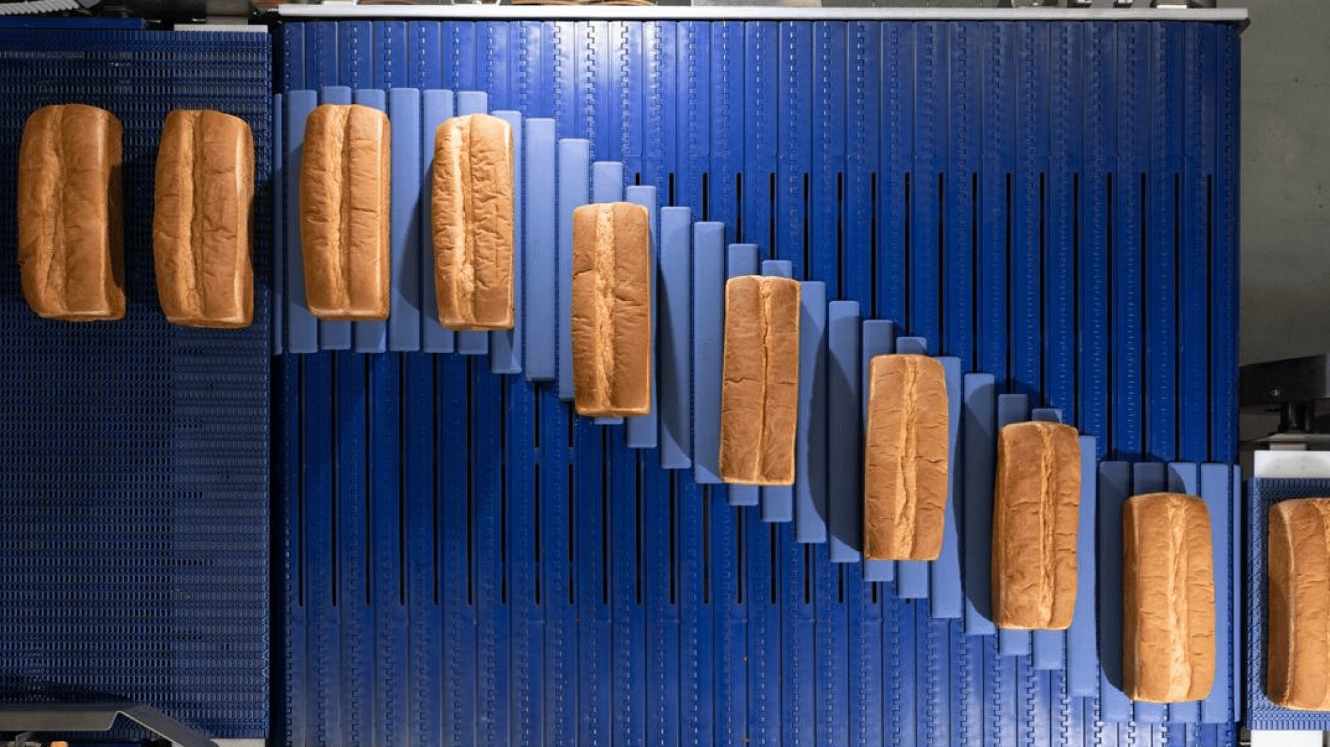 Overhead view of loaves of bread moving on a blue conveyor belt, each loaf spaced evenly apart in a zigzag pattern on angled conveyor sections.