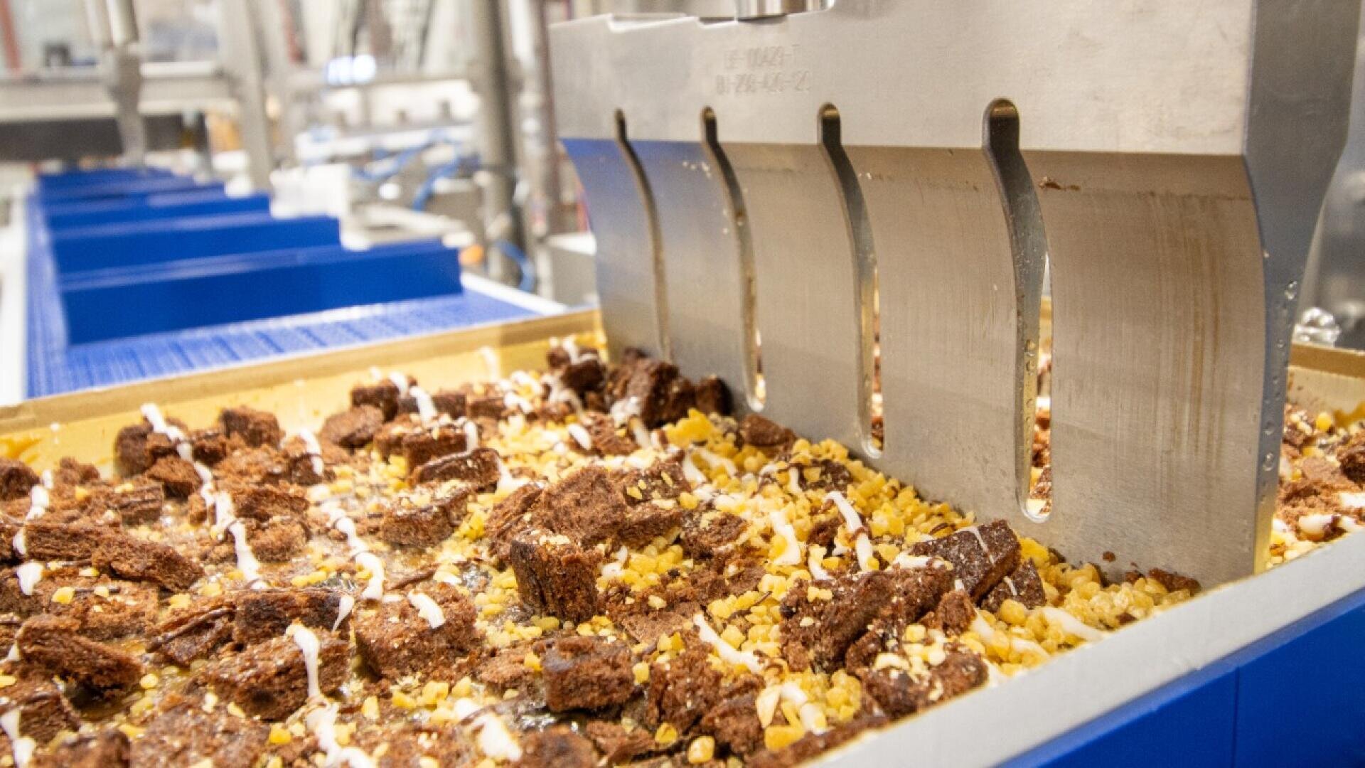 Nahaufnahme einer industriellen Schneidemaschine, die auf einem Fließband in einer Lebensmittelverarbeitungsanlage ein Tablett mit gebackenem Dessert schneidet, das mit weißer Glasur und Nüssen belegt ist.