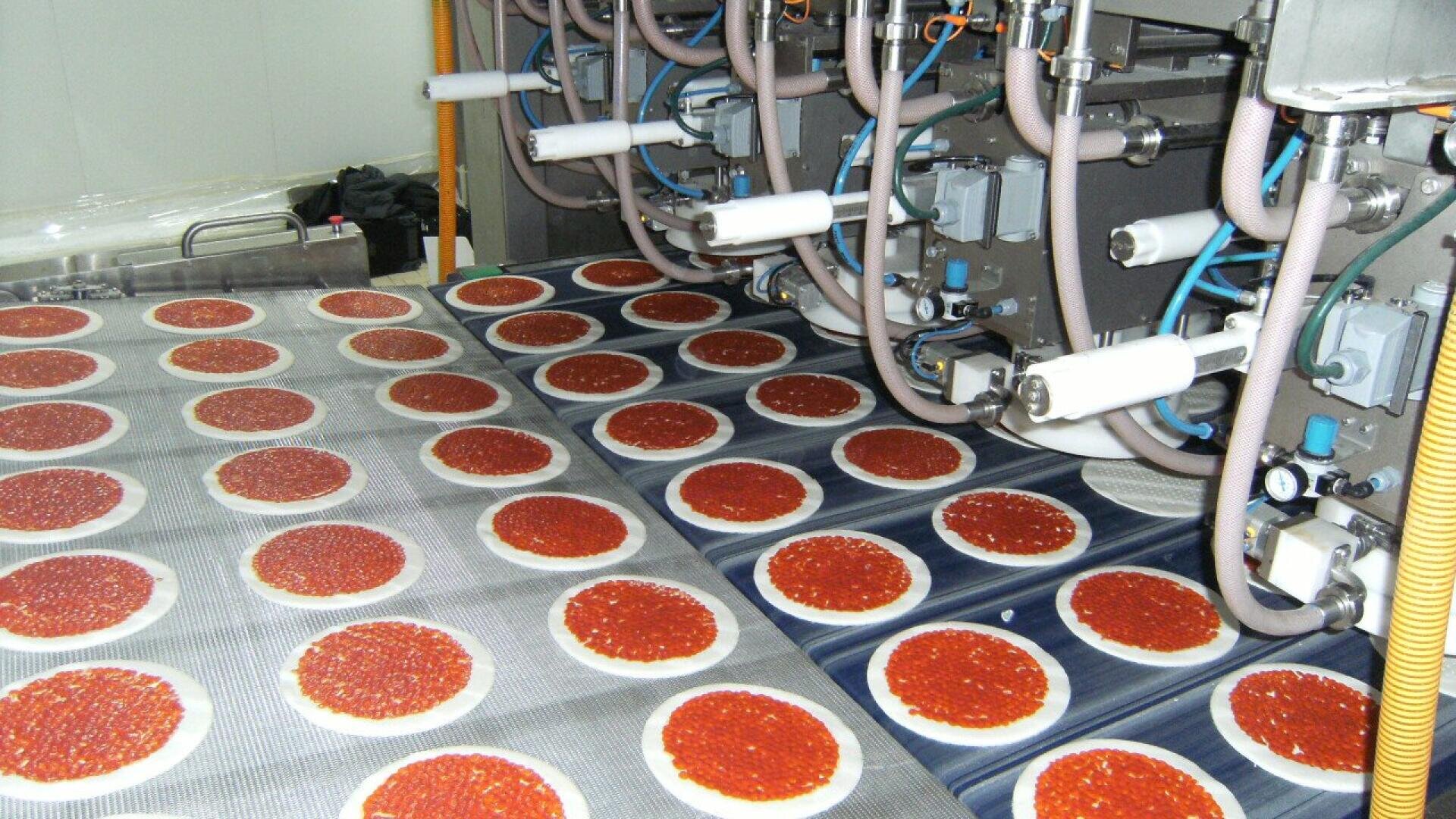 In einer Lebensmittelfabrik laufen Reihen von Pizzaböden mit Tomatensauce auf Förderbändern, während Maschinen und Rohre in der Höhe den Prozess des Verteilens der Sauce automatisieren.