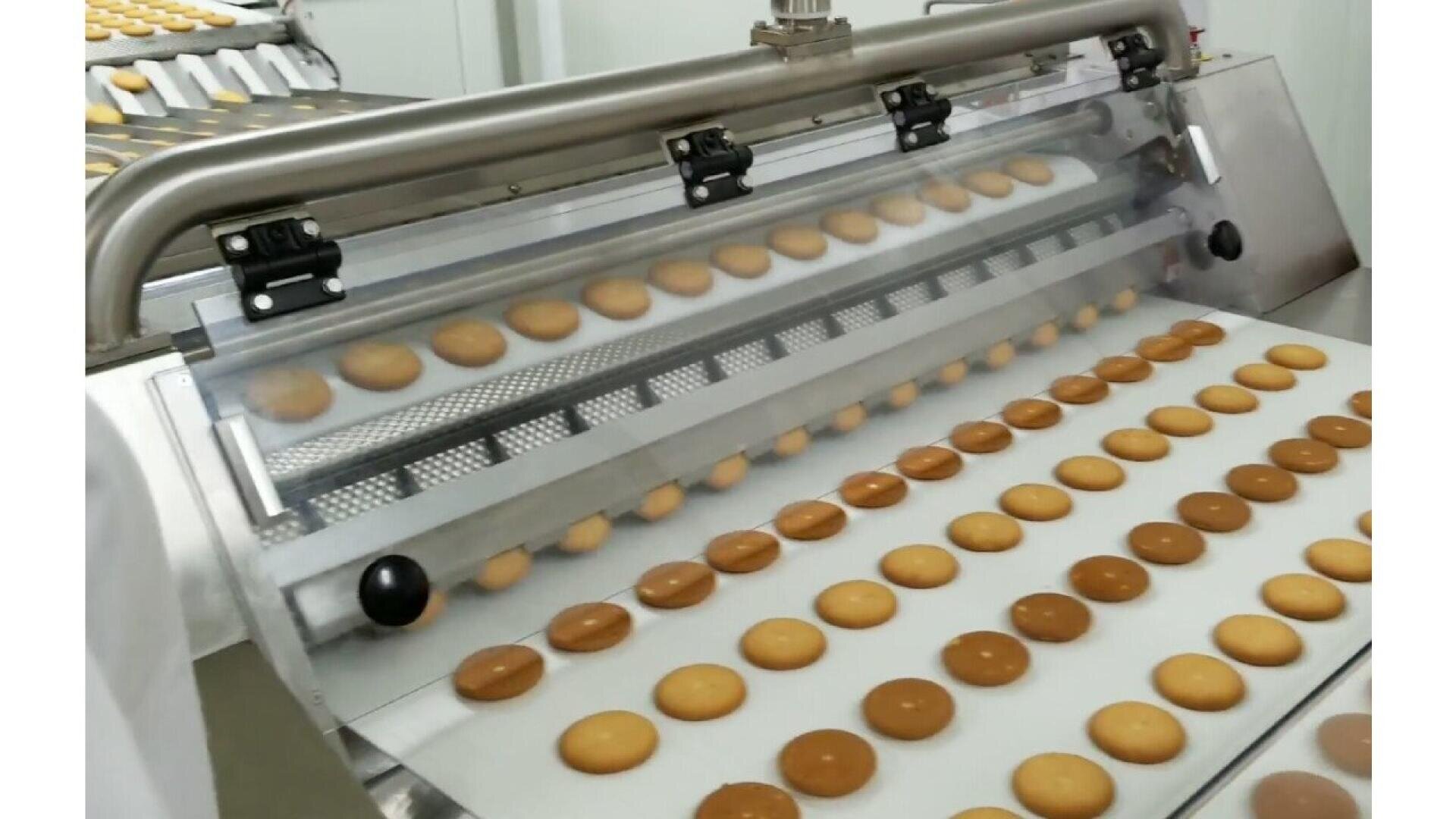 Reihen von runden Keksen laufen in einer Fabrik über ein Förderband und durchlaufen eine Maschine als Teil eines automatisierten Back- oder Produktionsprozesses.