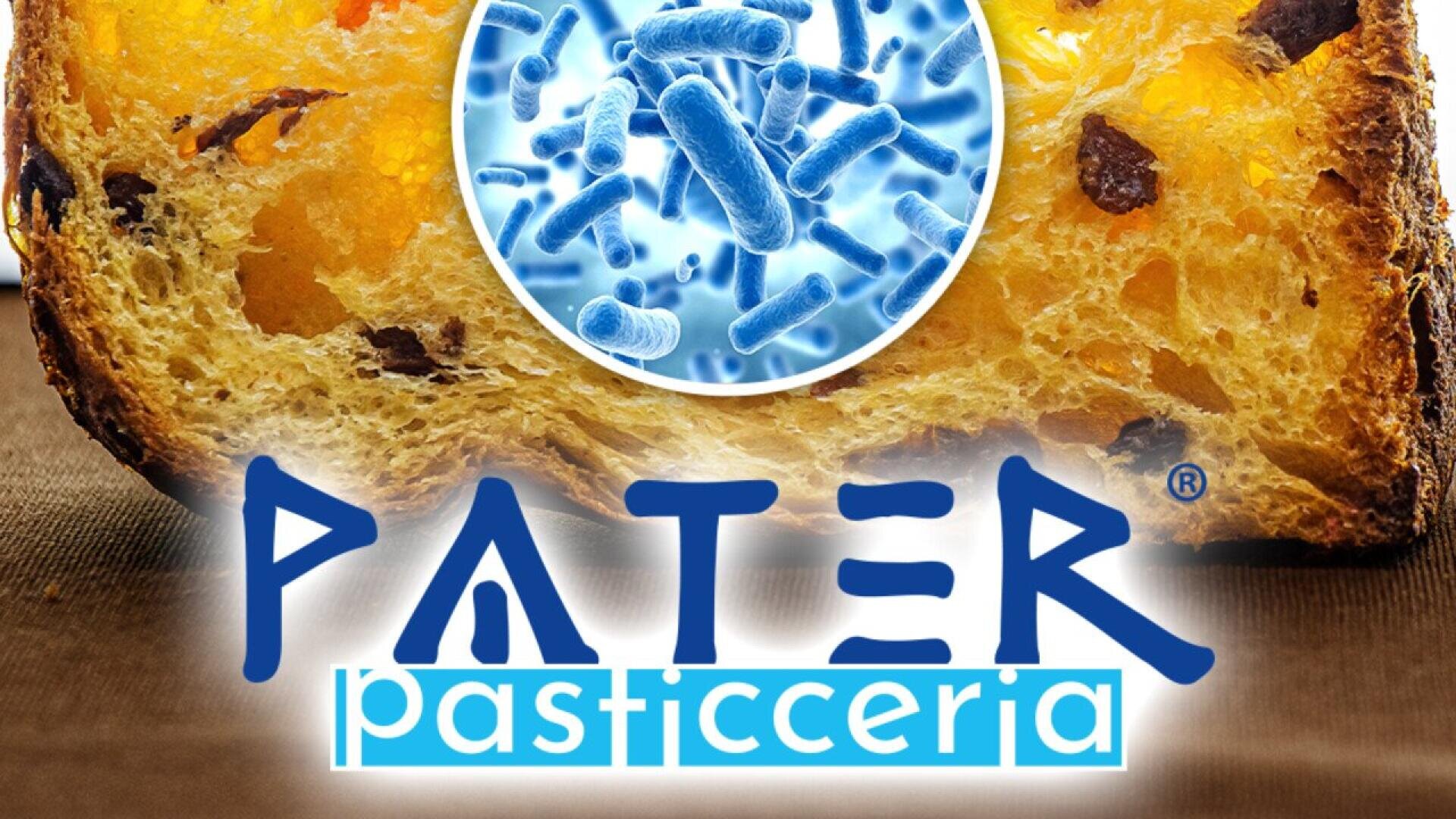 Nahaufnahme eines aufgeschnittenen Panettone-Brotes mit einer kreisförmigen Grafik von blauen Bakterien darüber. Das Logo Pater Pasticceria ist am unteren Rand des Bildes gut sichtbar angebracht.