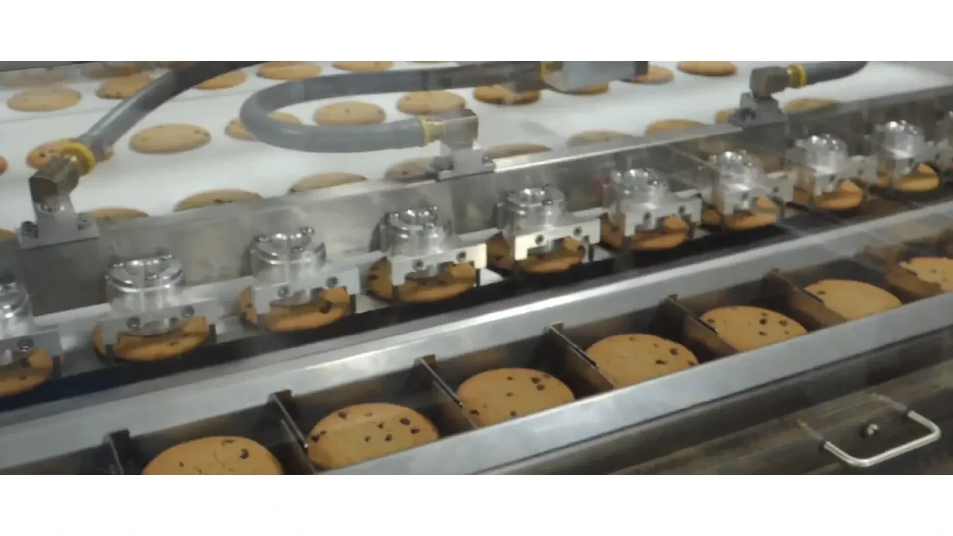 Chocolate chip cookies move along a conveyor belt in an automated factory line, passing through a machine that appears to sort or package them into trays.