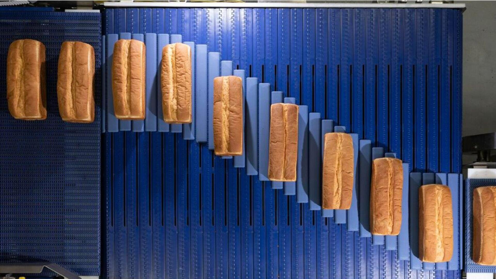 Auf einem blauen Förderband in einer Industrieumgebung bewegen sich, von oben gesehen, Reihen ganzer Brotlaibe diagonal.