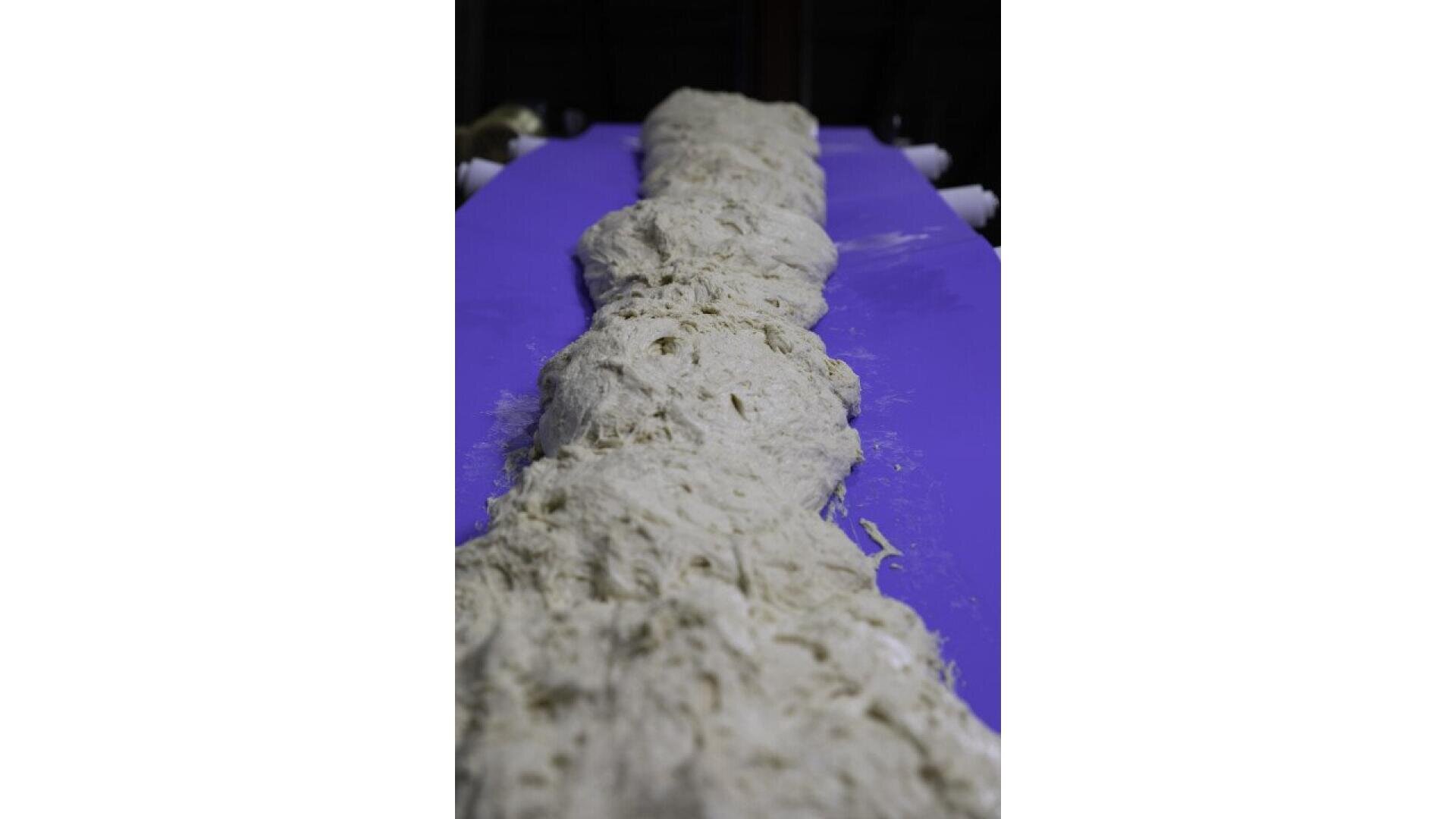 Ein großer, ungleichmäßiger Teigstreifen liegt auf einem hellvioletten Förderband, bereit für die Weiterverarbeitung in einer Industrie- oder Bäckereianlage.