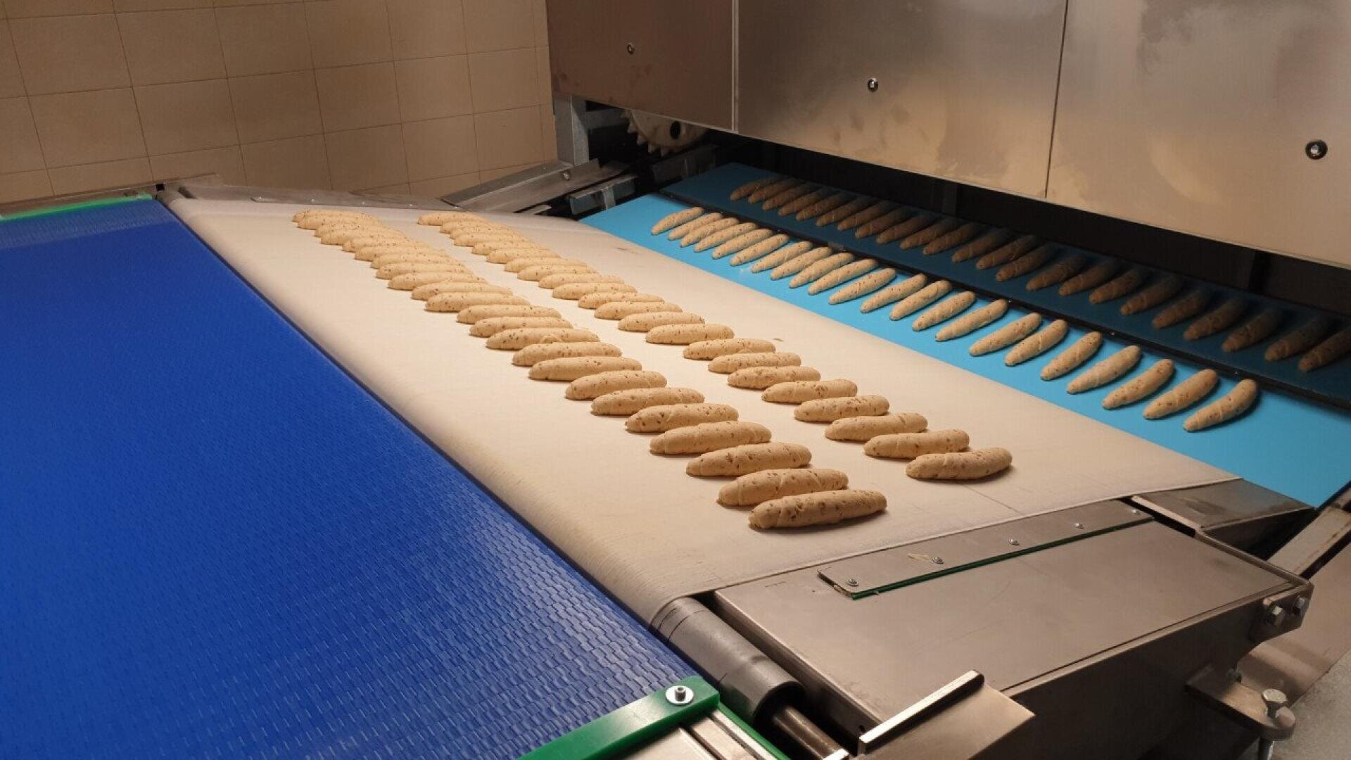 Auf einem Förderband in einer industriellen Lebensmittelverarbeitungsanlage sind Reihen von Rohwürsten aufgereiht, die zur Weiterverarbeitung in eine große Edelstahlmaschine laufen.