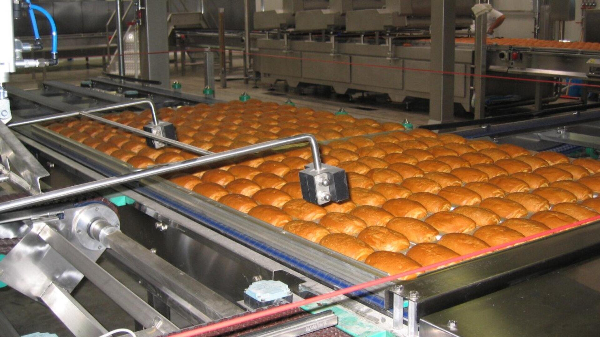 Reihen von frisch gebackenen Brötchen laufen über ein Förderband in einer Großbäckerei, umgeben von industriellen Backgeräten und Maschinen.