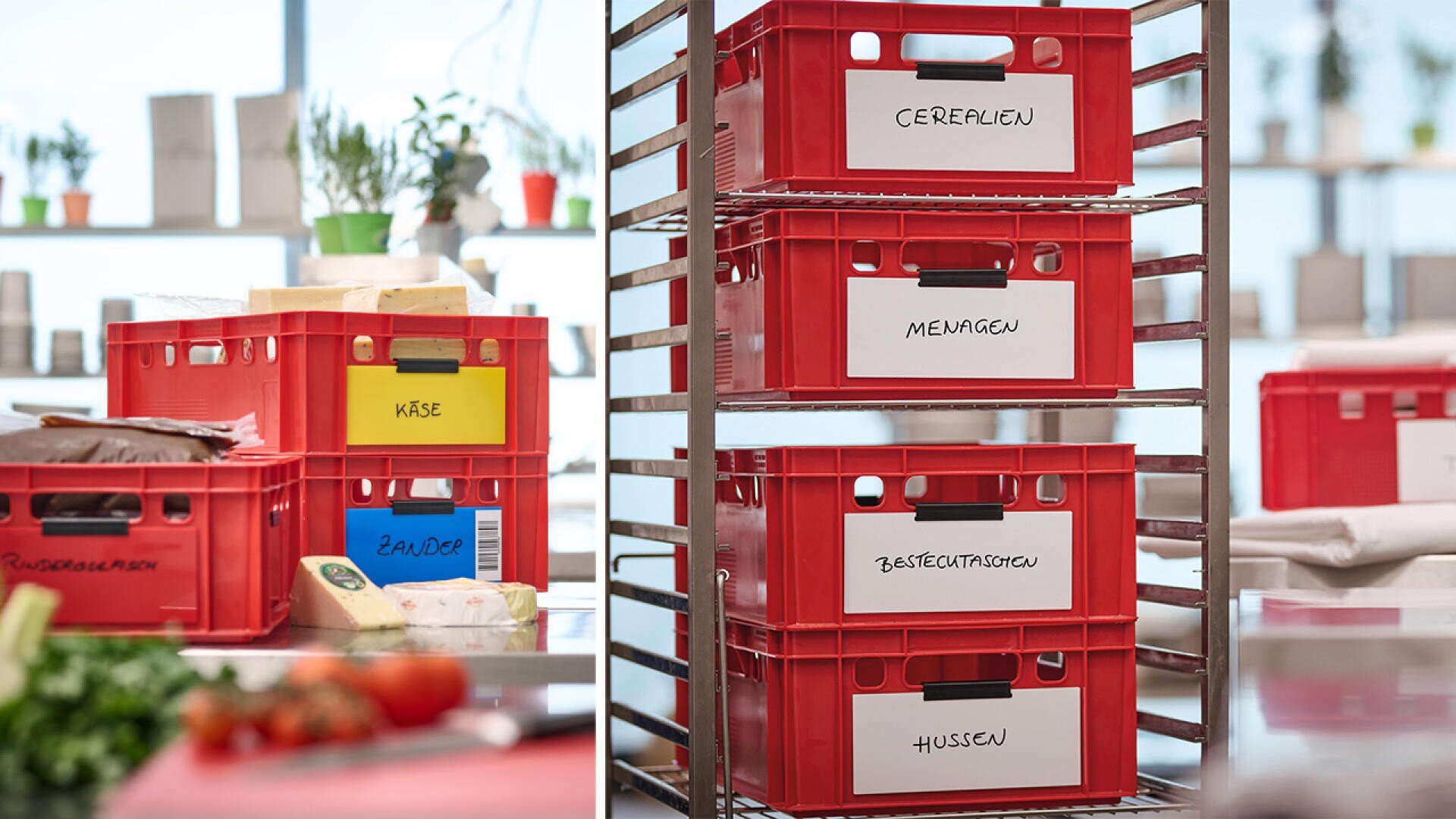 Rote Plastikbehälter sind auf Metallregalen in einer Küche oder Speisekammer gestapelt. Jeder Behälter hat ein weißes Etikett mit handgeschriebenen deutschen Wörtern wie Käse, Cerealien und Menüagen. Frische Produkte sind in der Nähe zu sehen.