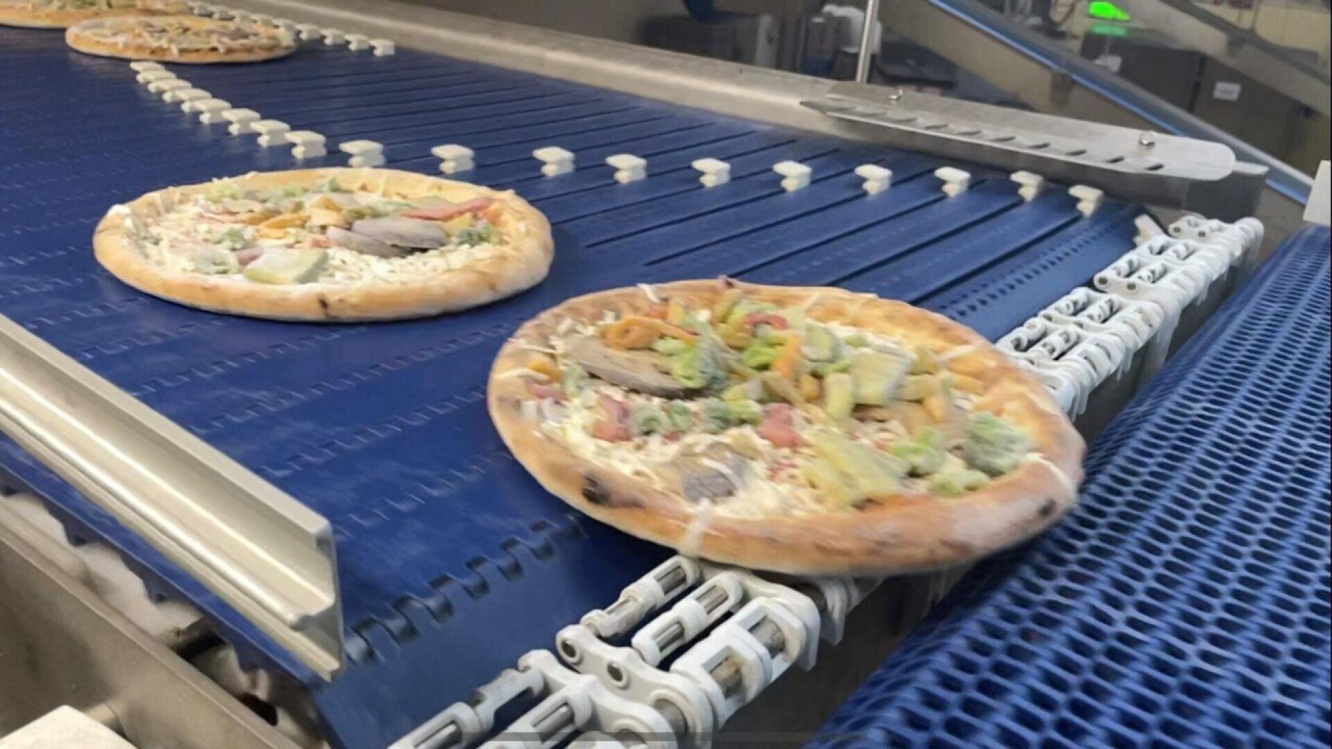 Ungebackene, mit Gemüse belegte Tiefkühlpizzen laufen über ein blaues Förderband in einer Lebensmittelfabrik.