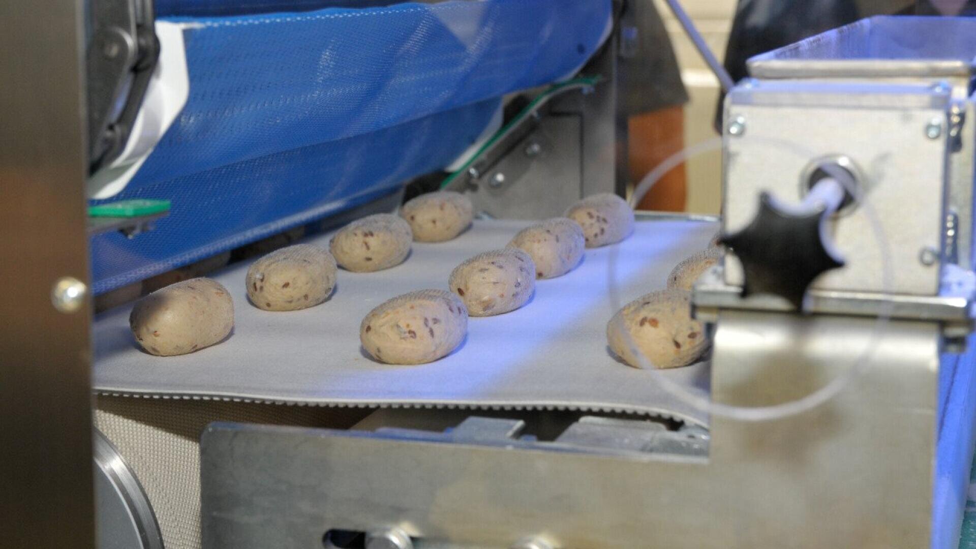 Reihen von rohen Brötchen mit Körnern werden auf einem Förderband in einer industriellen Bäckerei ausgerichtet, bereit zum Backen. Die Maschinen und Metallteile der Produktionslinie sind um das Band herum sichtbar.