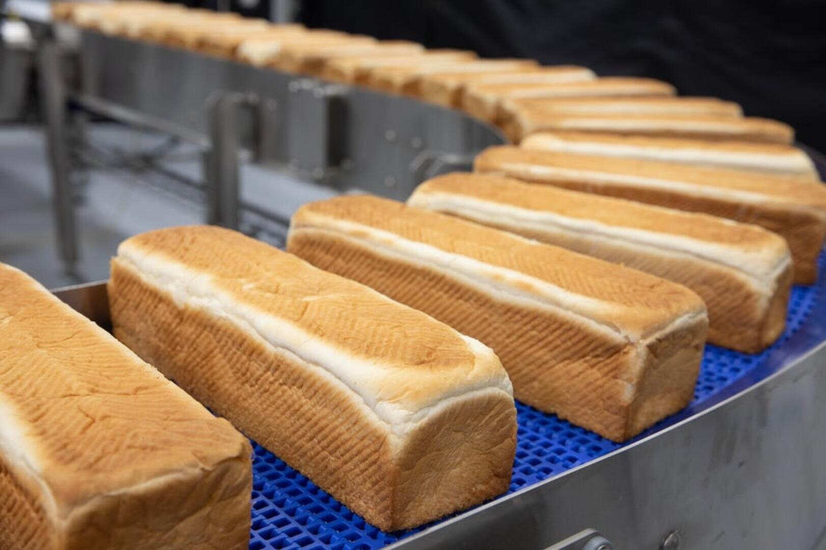 Rows of freshly baked rectangular loaves of bread move along a blue conveyor belt in a commercial bakery, with metal machinery in the background.