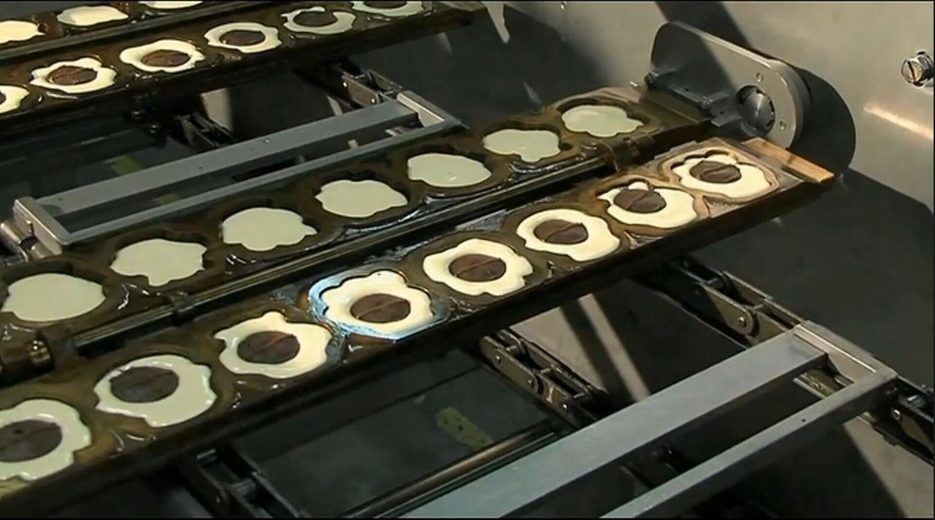 Die Nahaufnahme einer Produktionsstraße zeigt Reihen blütenförmiger Schokoladenbonbons mit weißem Überzug und dunklem Kern, die in einer Form ruhen, während sie sich auf einem Förderband bewegen.