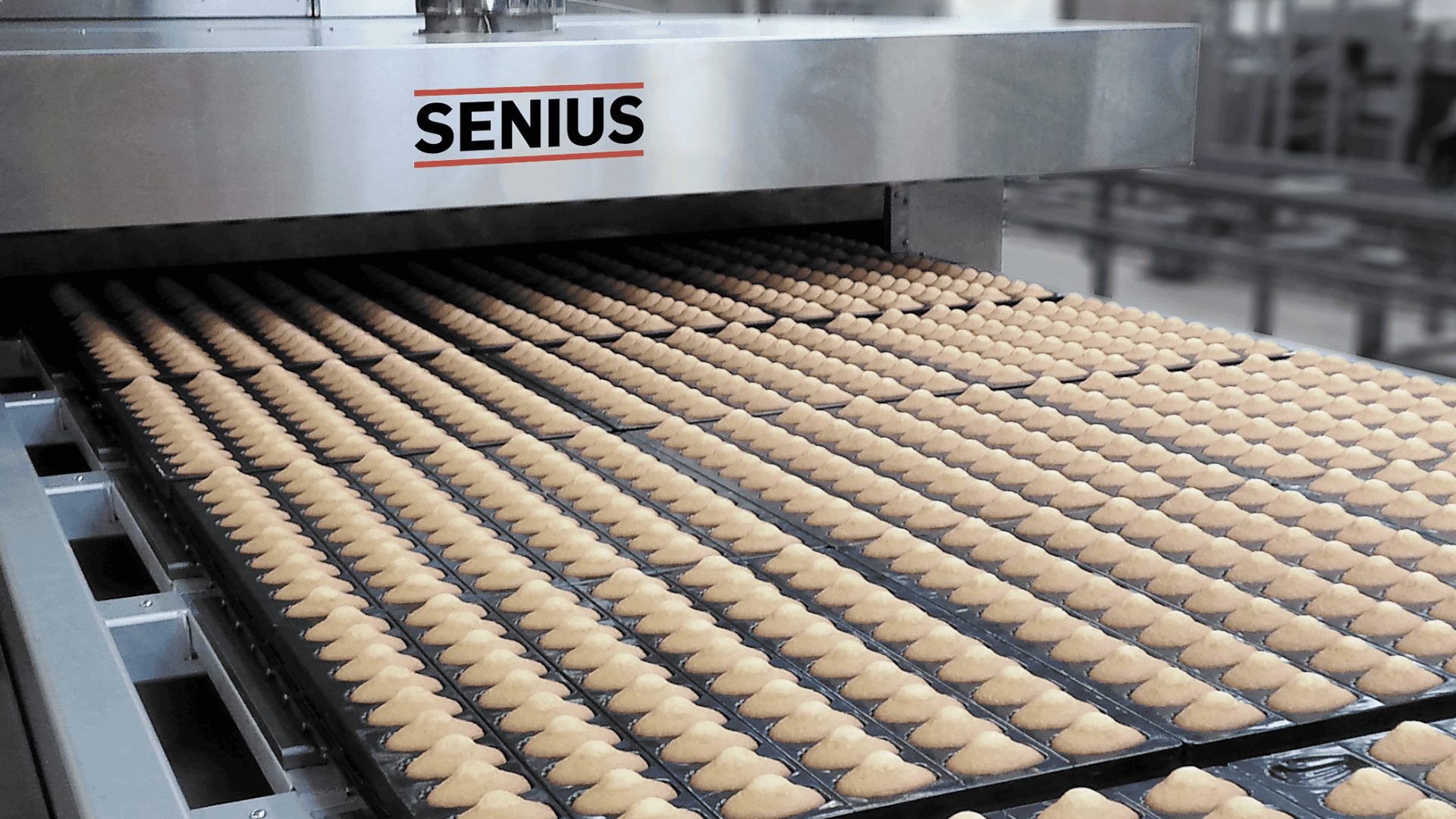 Reihen kleiner, gleichmäßiger Gebäckstücke oder Teiglinge auf Tabletts bewegen sich entlang eines Förderbands in einem Industrieofen mit der Bezeichnung SENIUS in einer Fabrikumgebung.
