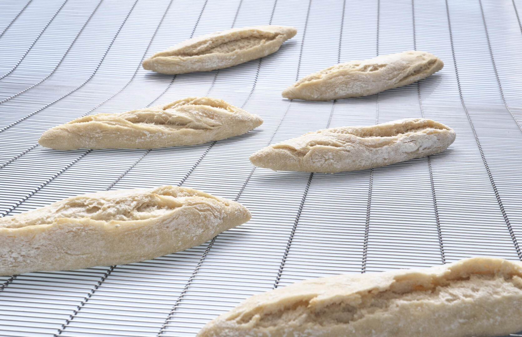 Rohe Baguette-Teiglinge liegen auf einem Metall-Förderband, in Abständen voneinander, bereit zum Backen in einer industriellen Umgebung.