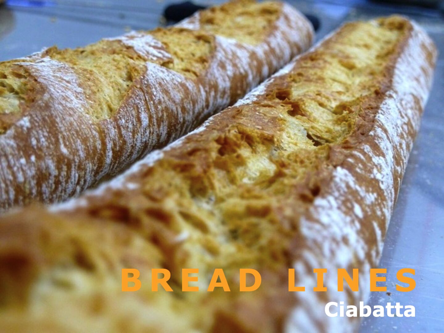 Close-up of two loaves of ciabatta bread with a rustic, golden-brown crust and a dusting of flour. Text on the image reads BREAD LINES in yellow and Ciabatta in white.