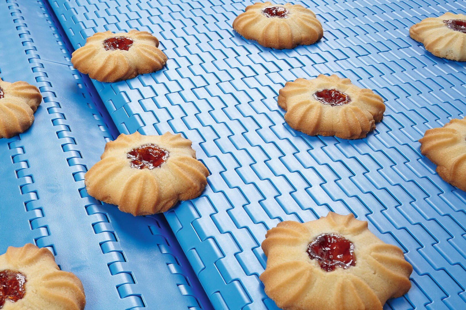 Jam-filled butter cookies on a blue conveyor belt, arranged in rows. The cookies are flower-shaped with red jam centers and lightly golden edges, indicating they are freshly baked.