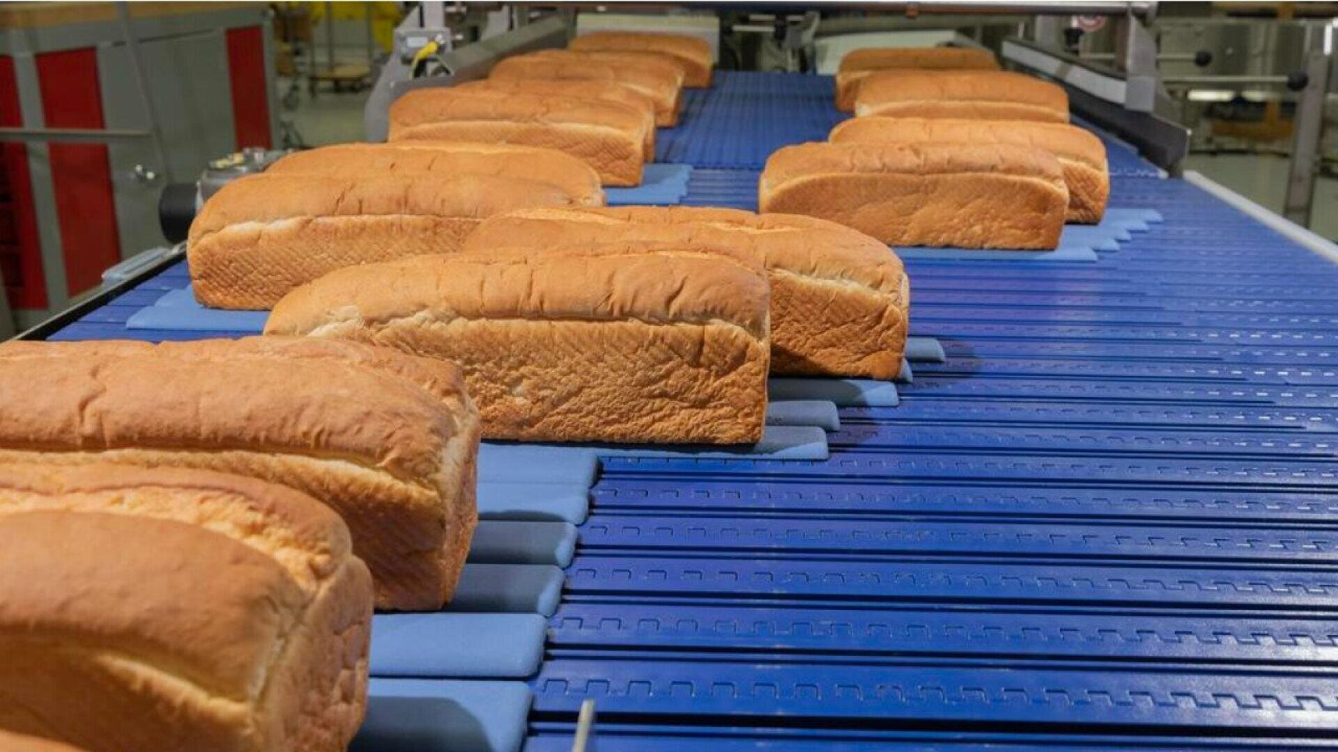 Mehrere Brotlaibe bewegen sich auf einem blauen Förderband in einer scheinbar kommerziellen Bäckerei oder Brotproduktionsanlage.