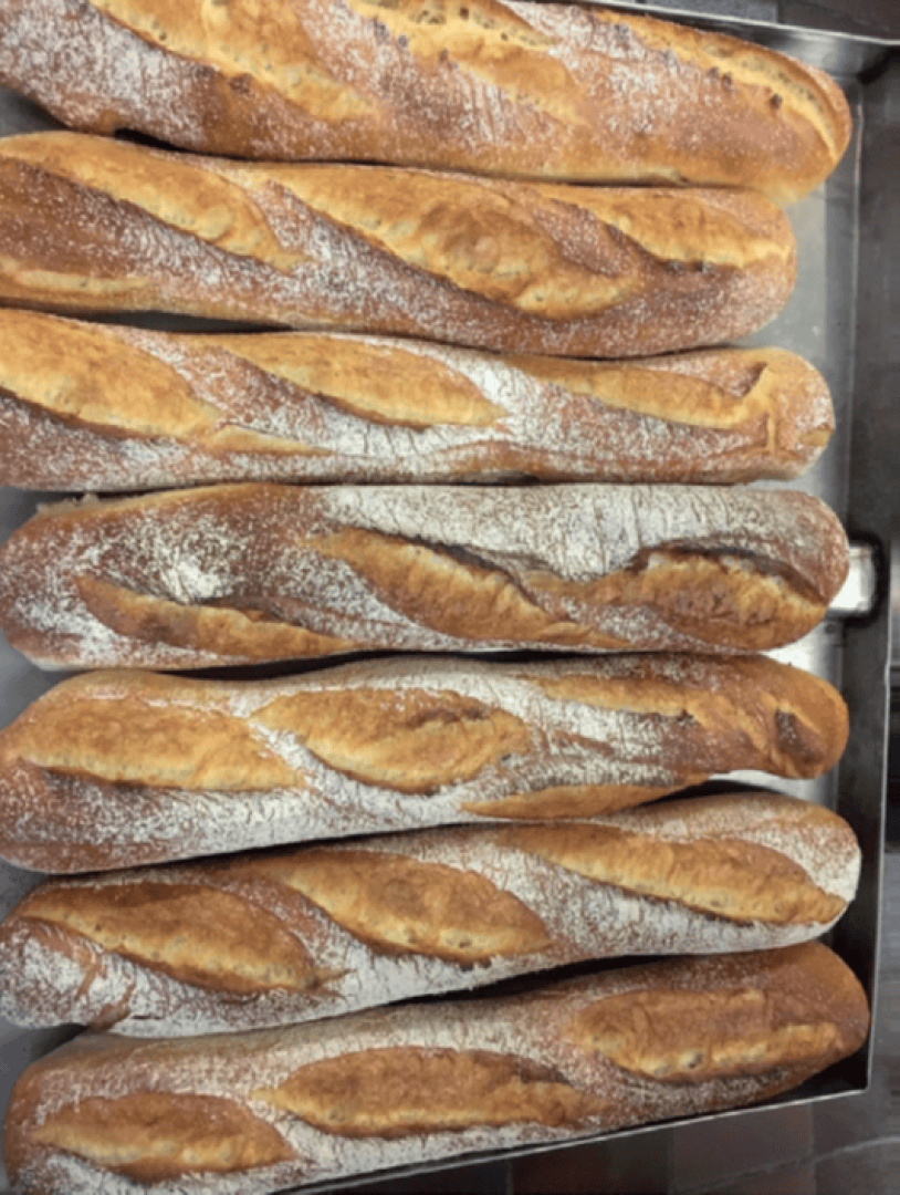 Several freshly baked baguettes are arranged in neat rows on a metal tray, showing a golden-brown crust with flour dusting and signature diagonal slashes along the tops.