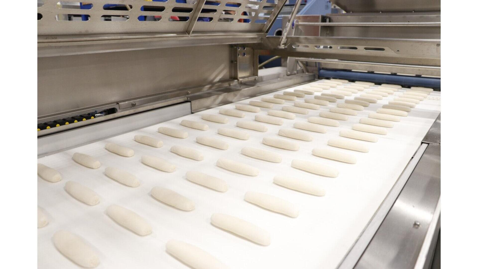 Reihen von rohen, gleichmäßig geformten Teiglingen werden auf einem Förderband in einer industriellen Backmaschine aus Edelstahl aufgereiht.