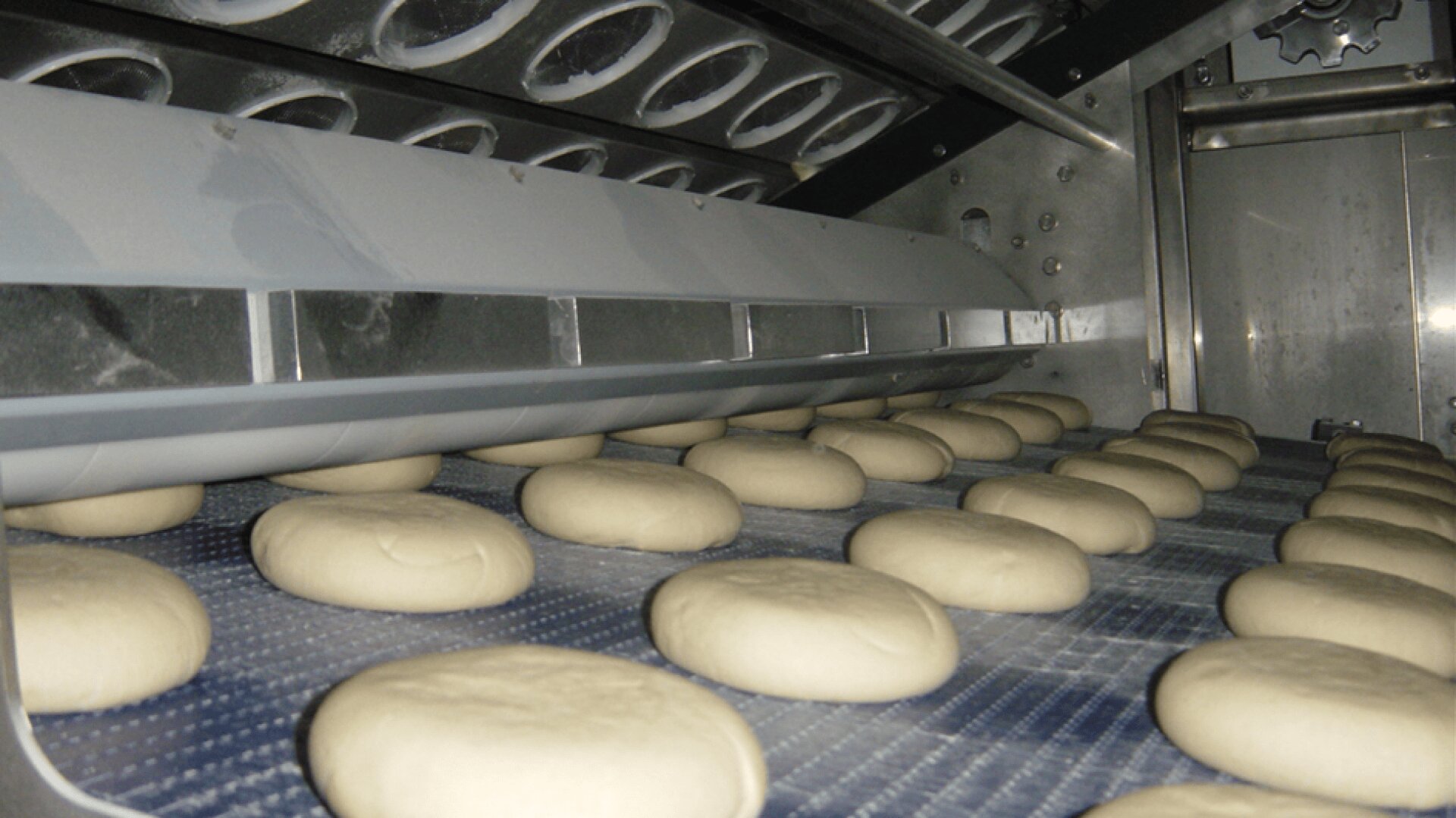 Rows of round bread dough balls on a conveyor belt move through an industrial baking machine, ready to be baked in a commercial bakery setting.