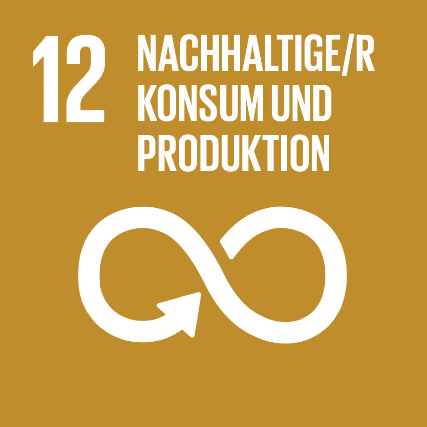 SDG-icon-DE-12.jpg (0.1 MB)